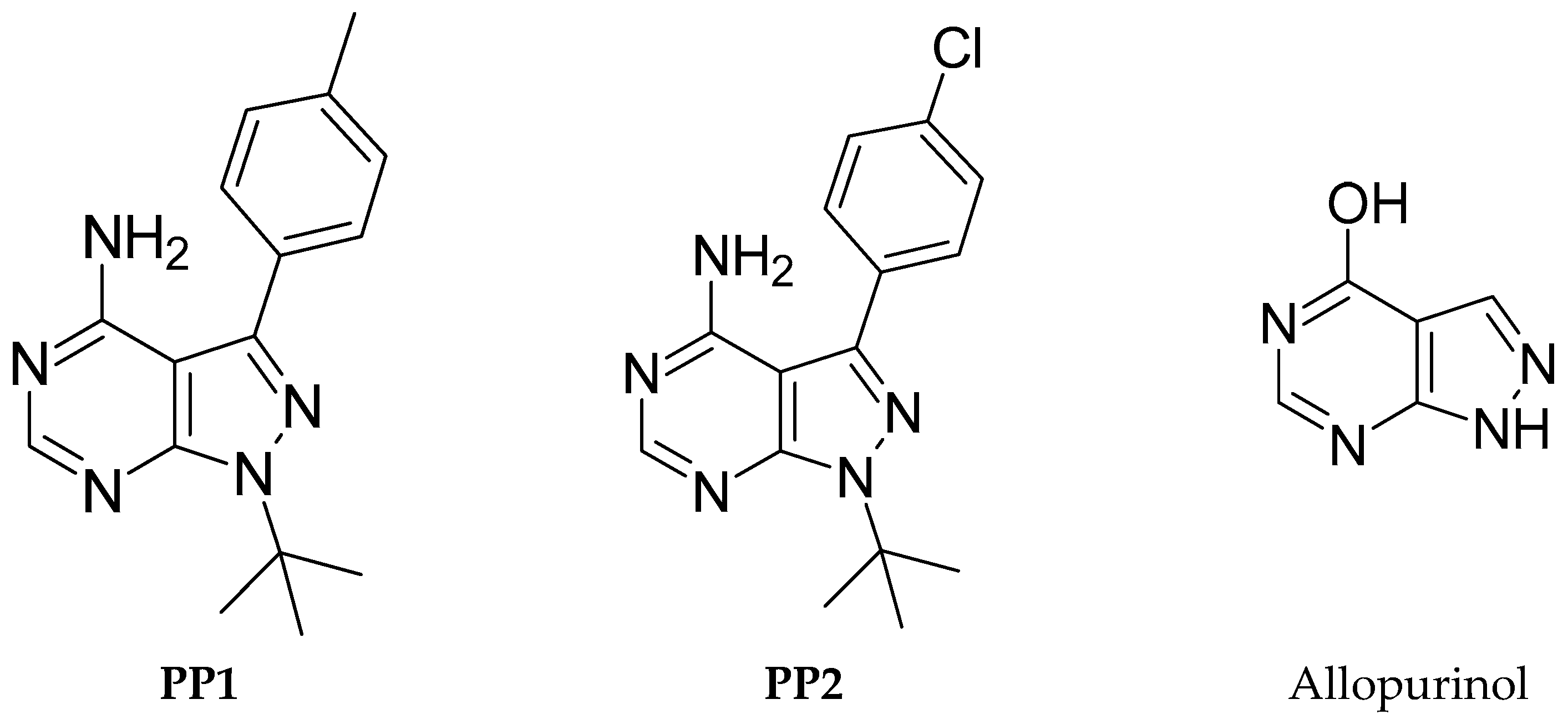 Molecules 29 05020 g001