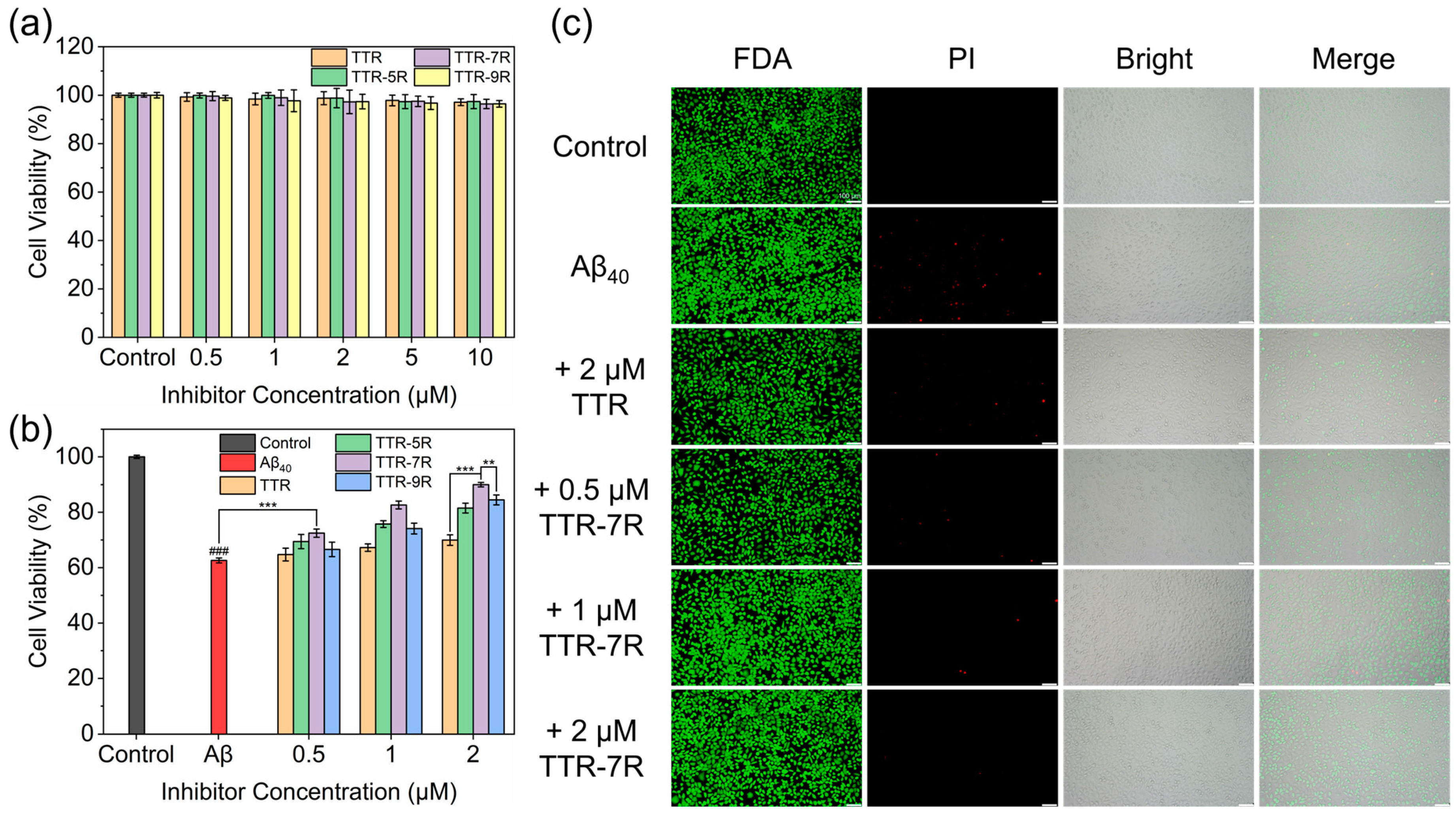 Molecules 29 05023 g005