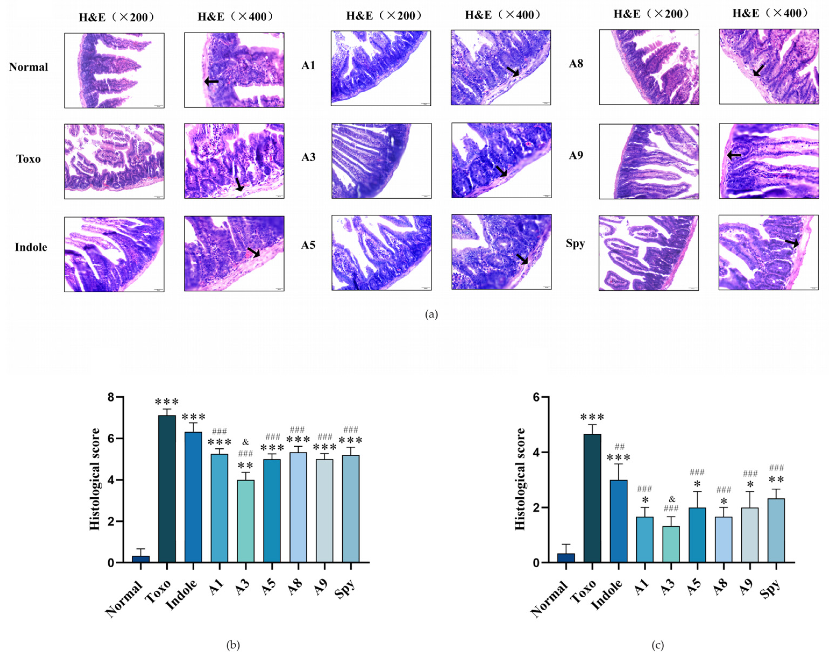 Molecules 29 05024 g005