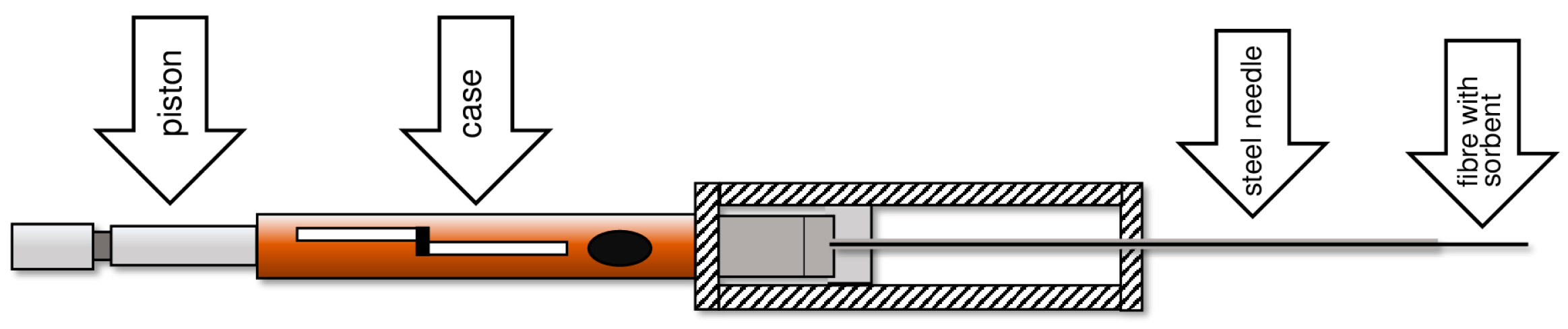 Molecules 29 05025 g004