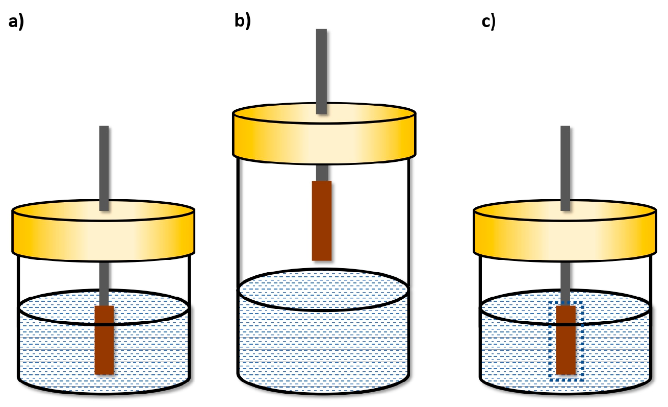 Molecules 29 05025 g005