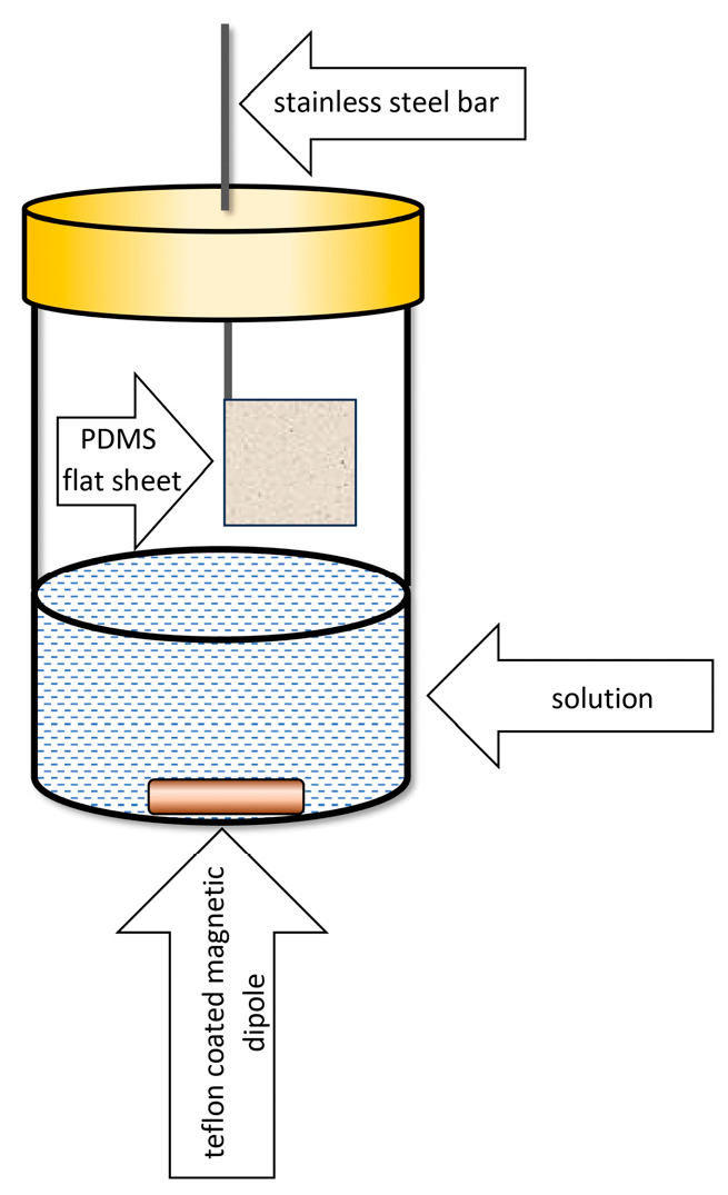Molecules 29 05025 g006