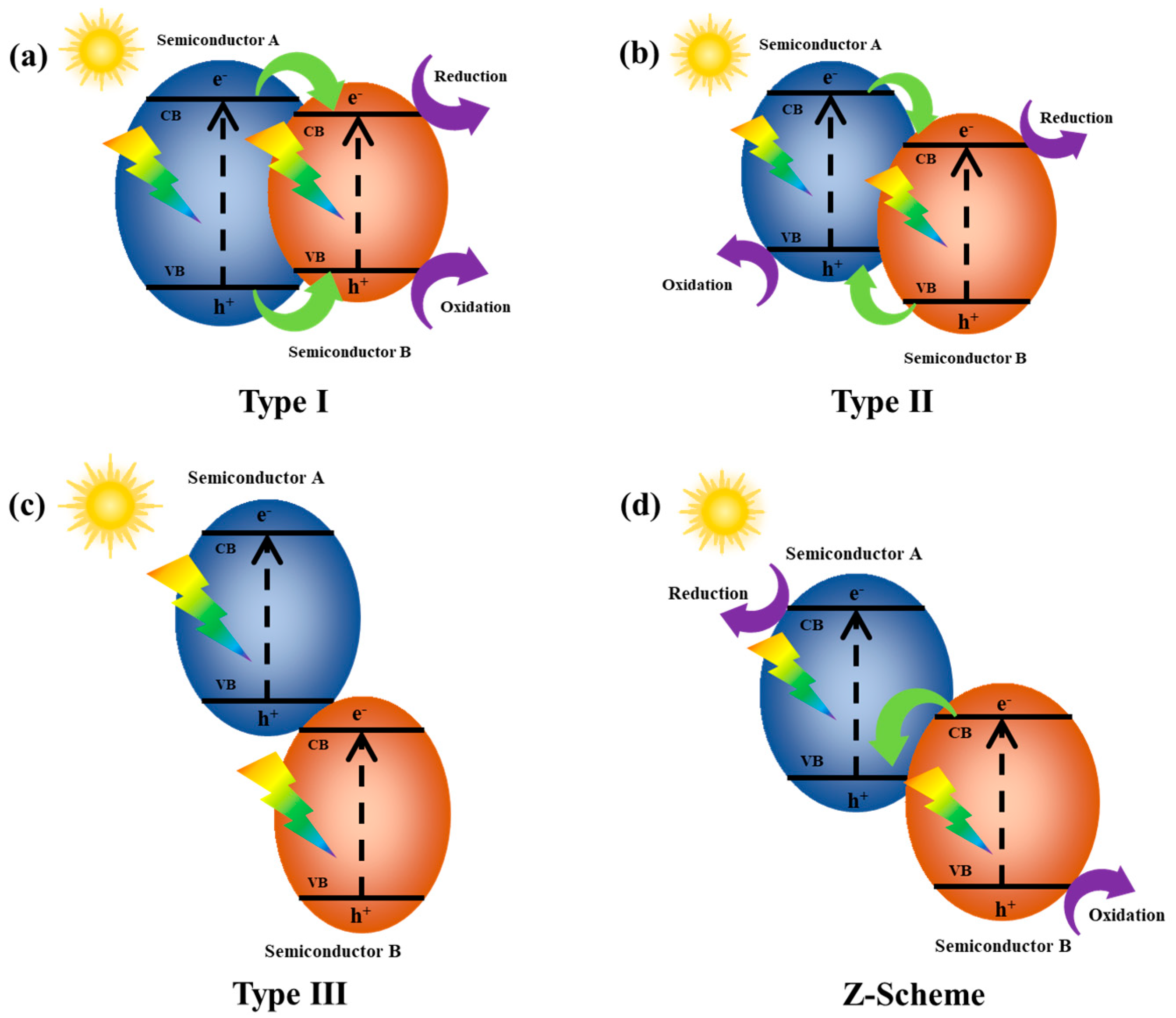 Molecules 29 05028 g001