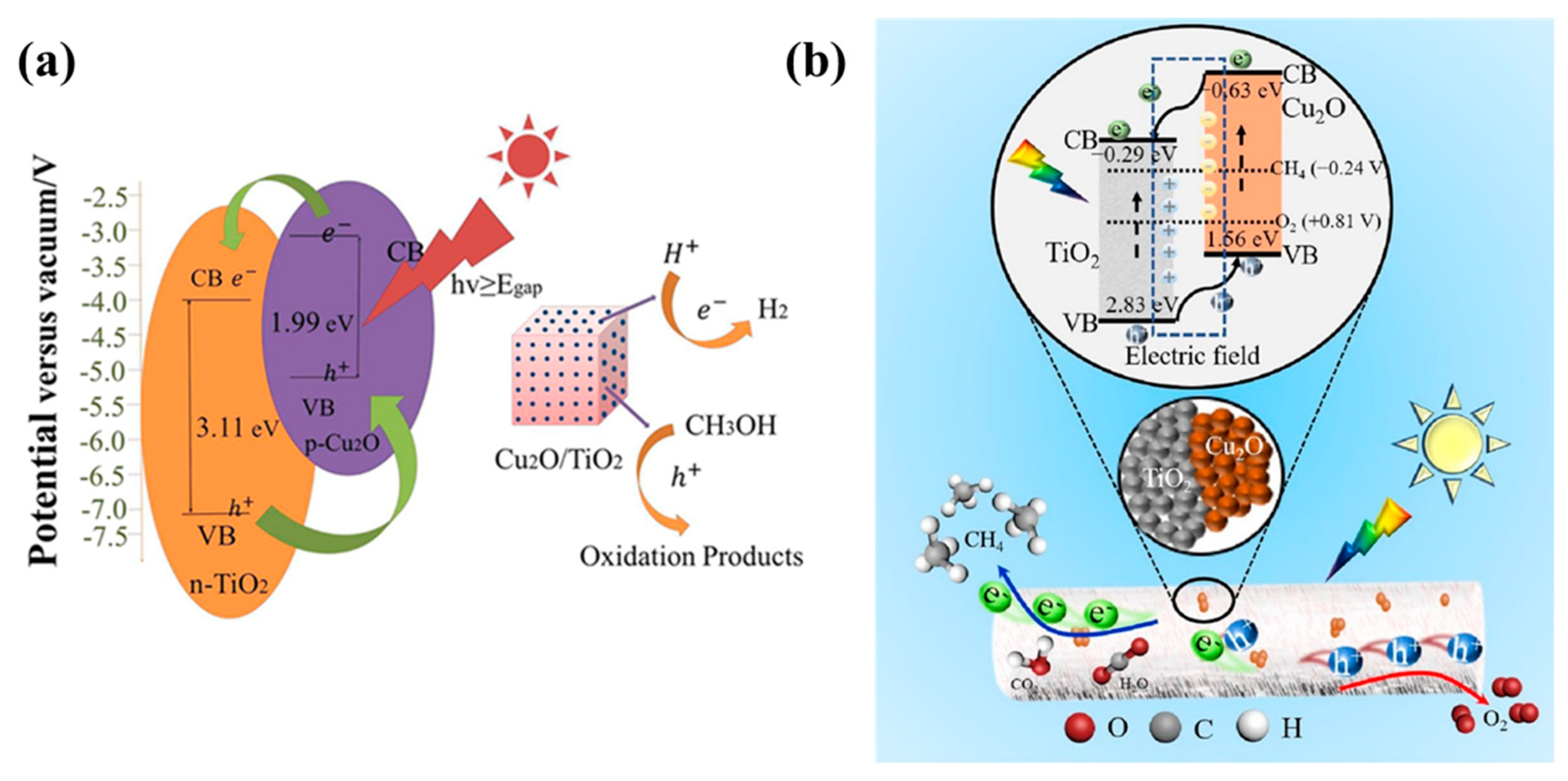 Molecules 29 05028 g009
