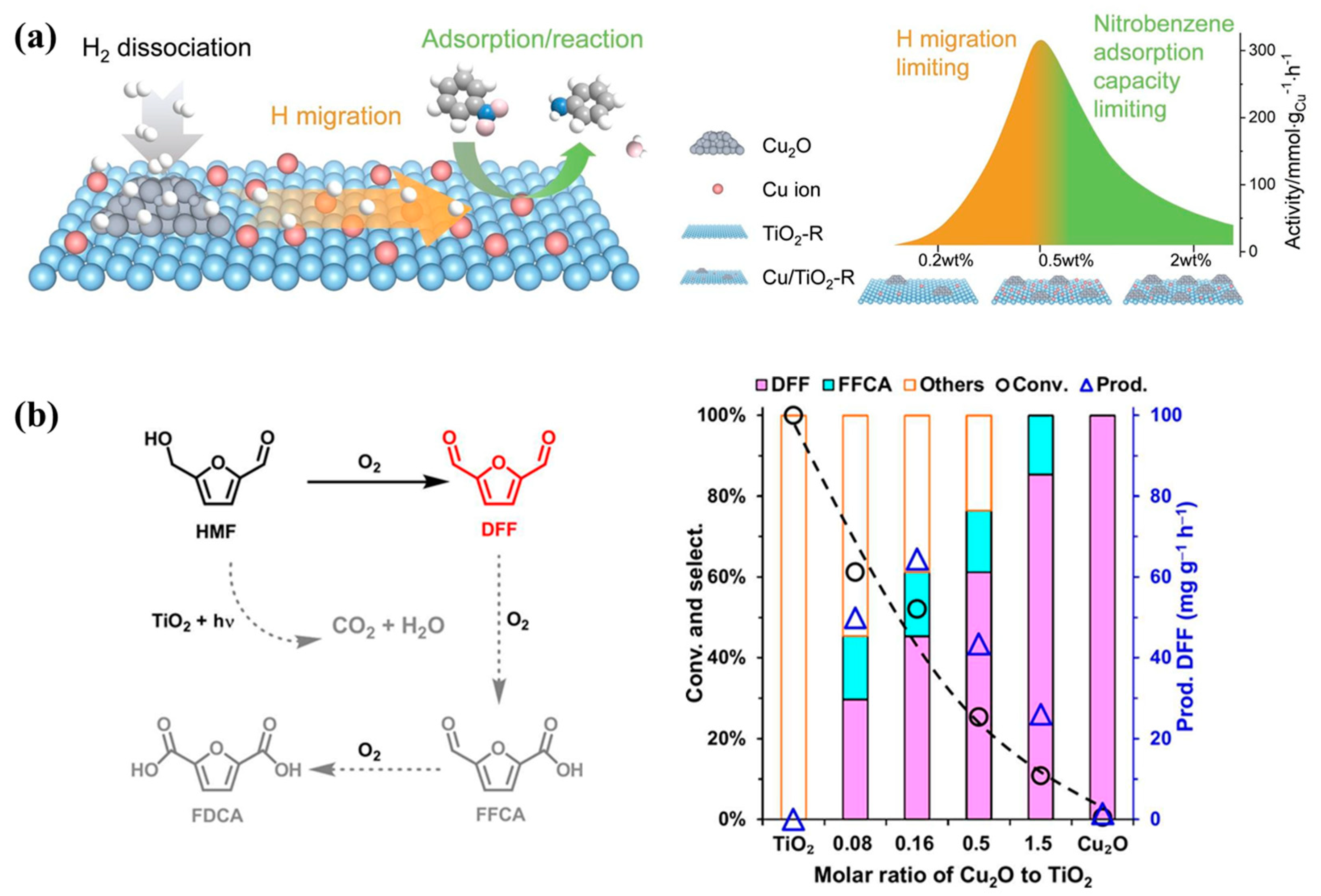 Molecules 29 05028 g010