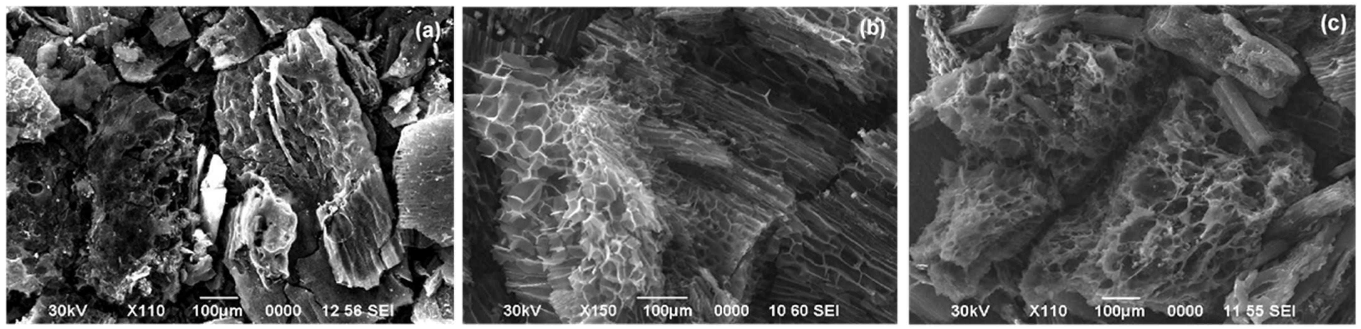 Molecules 29 05029 g003