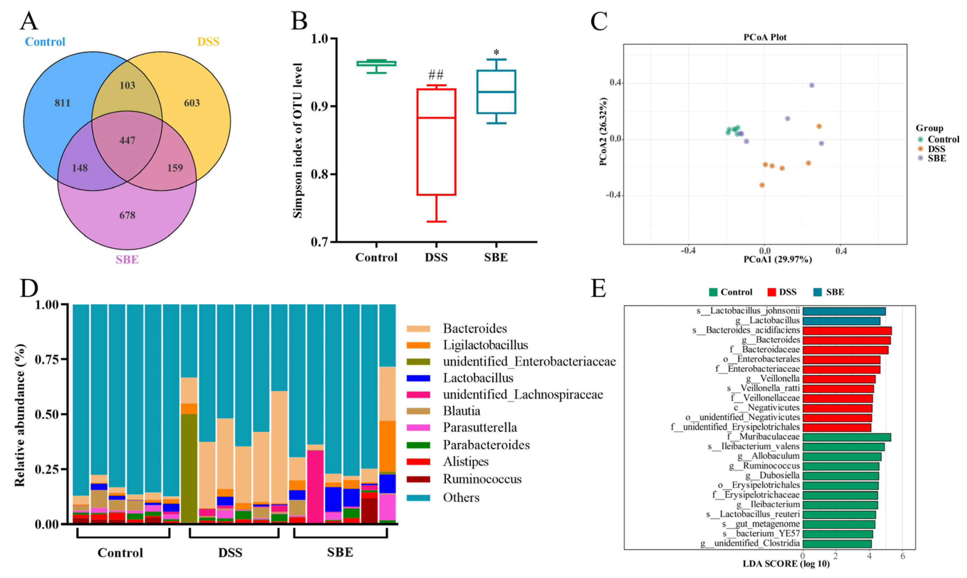 Molecules 29 05030 g007