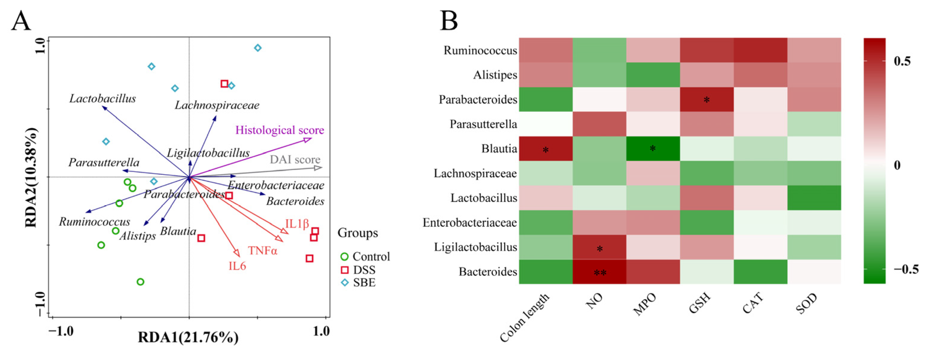 Molecules 29 05030 g008