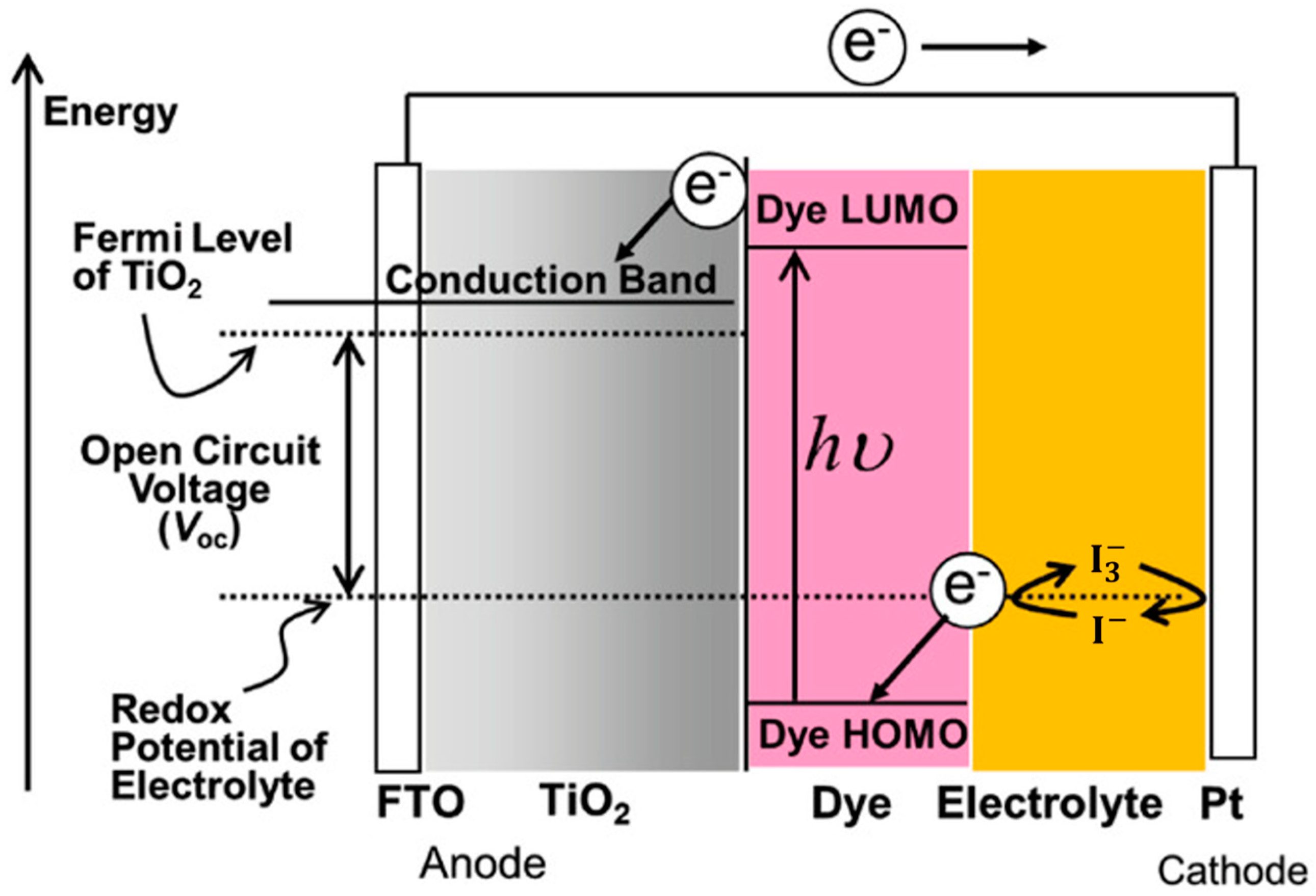 Molecules 29 05035 g001