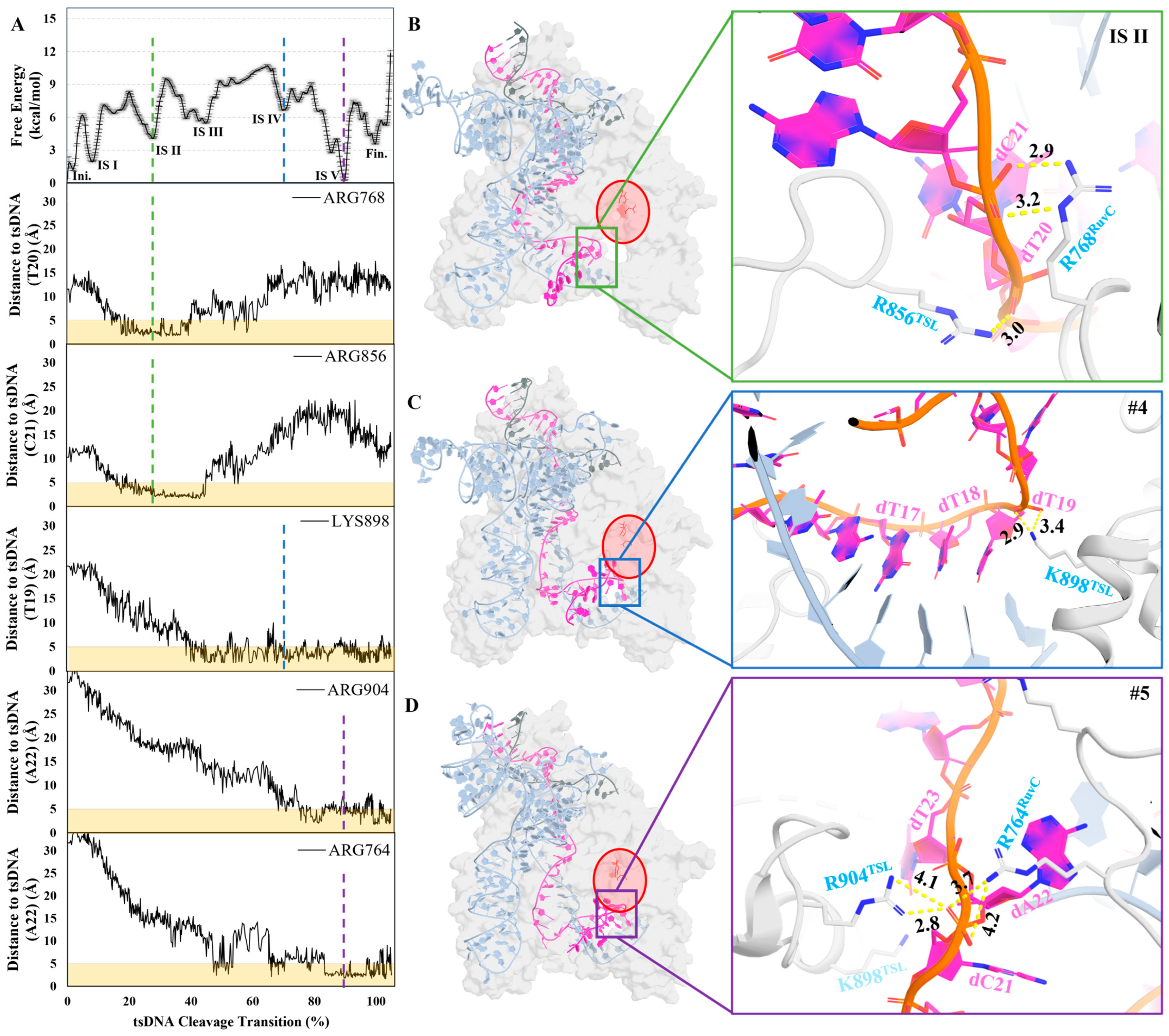 Molecules 29 05036 g003