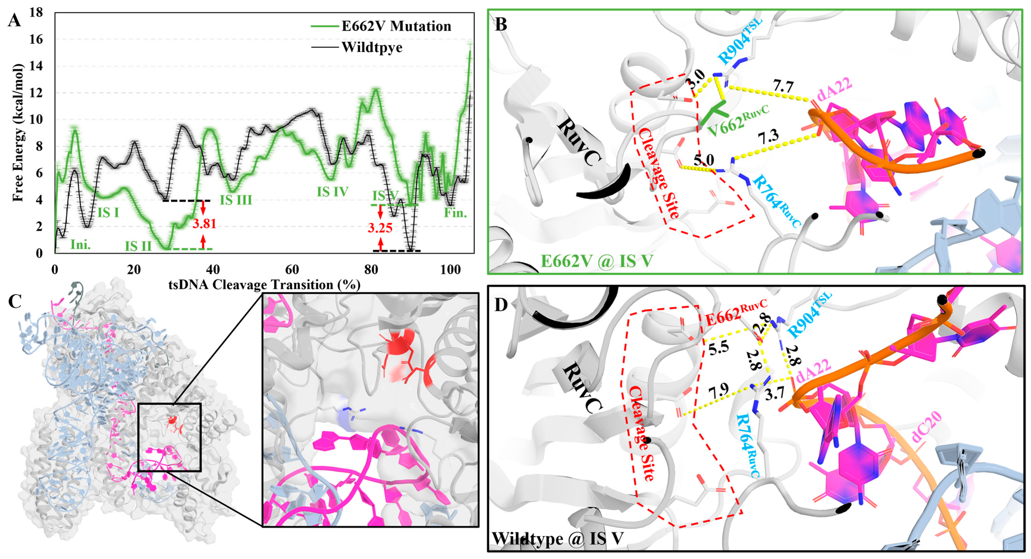 Molecules 29 05036 g005