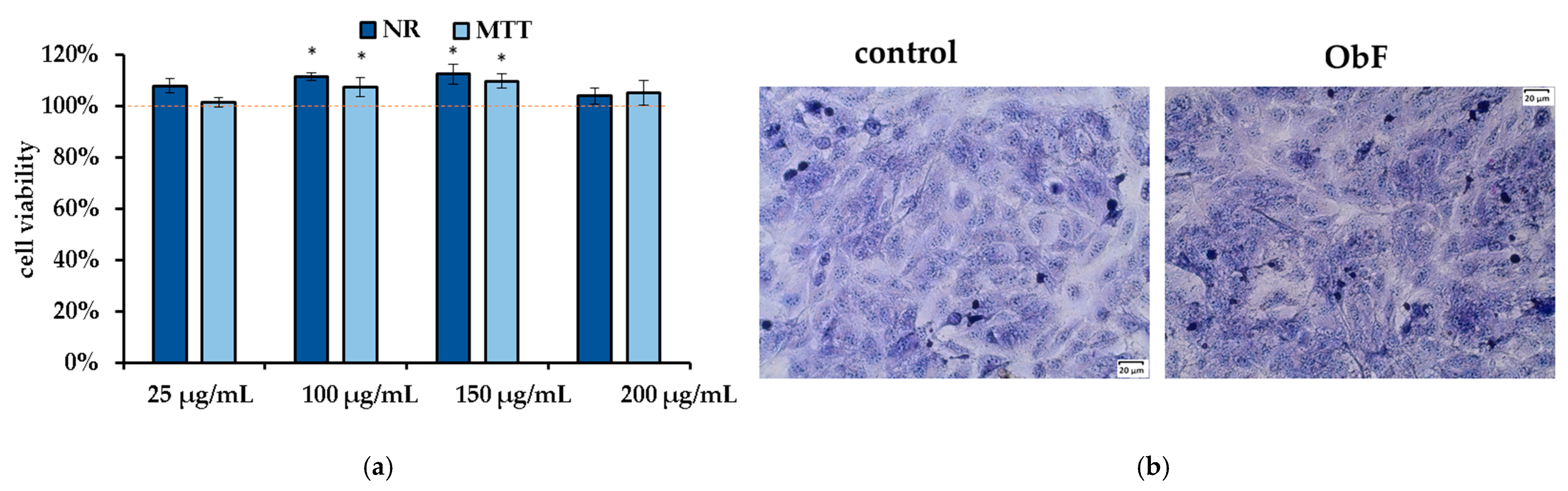 Molecules 29 05043 g002