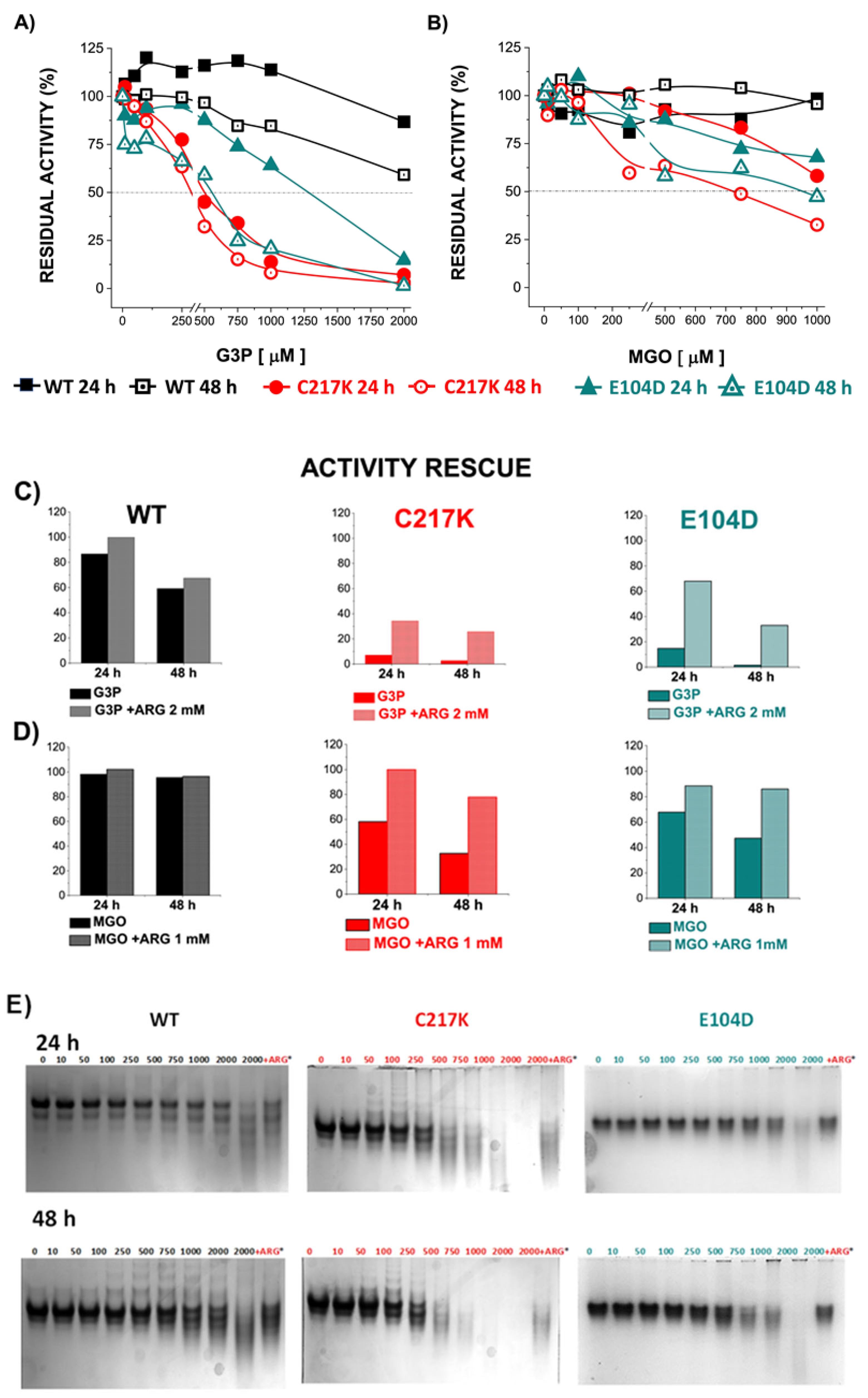 Molecules 29 05047 g008a