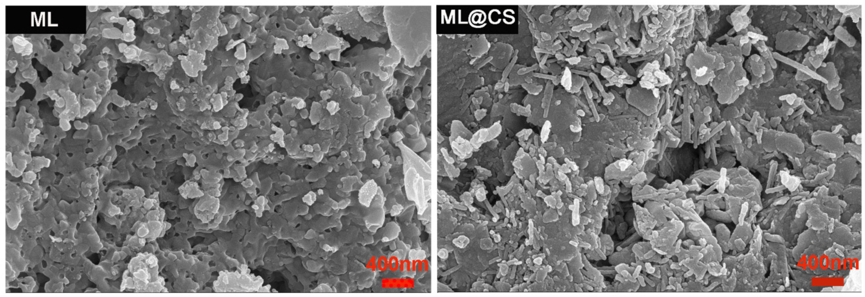 Molecules 29 05052 g002