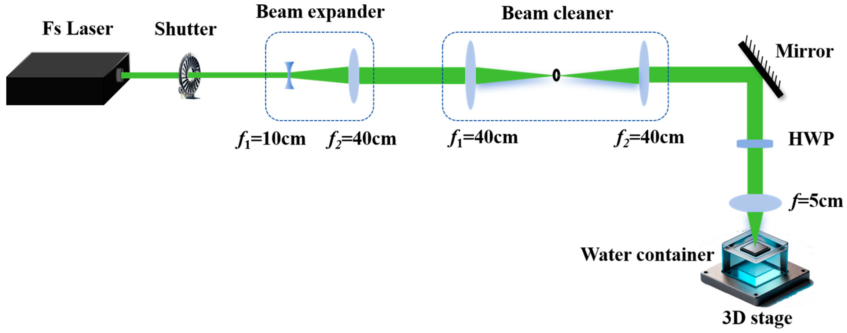 Molecules 29 05053 g006
