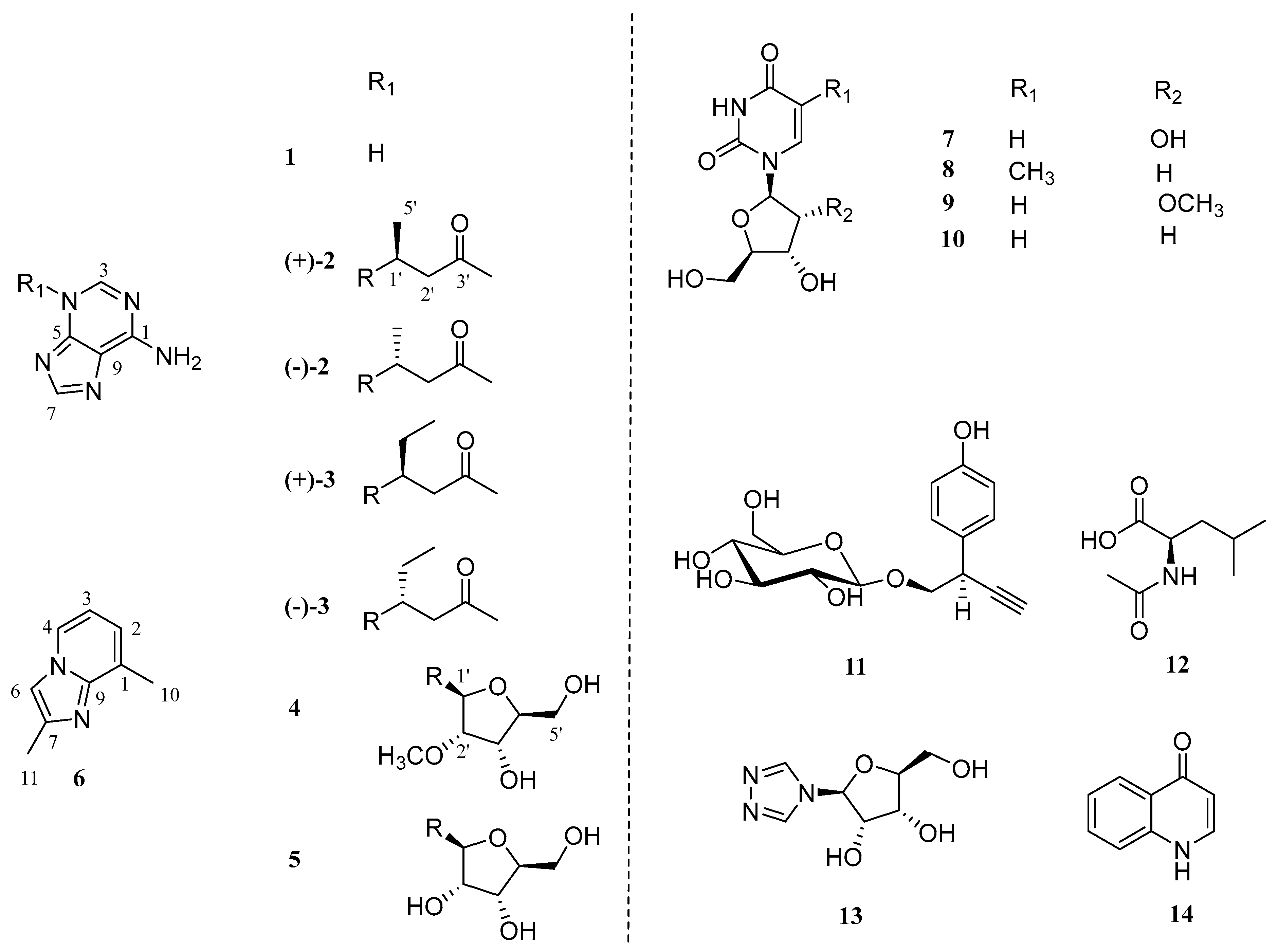 Molecules 29 05059 g001