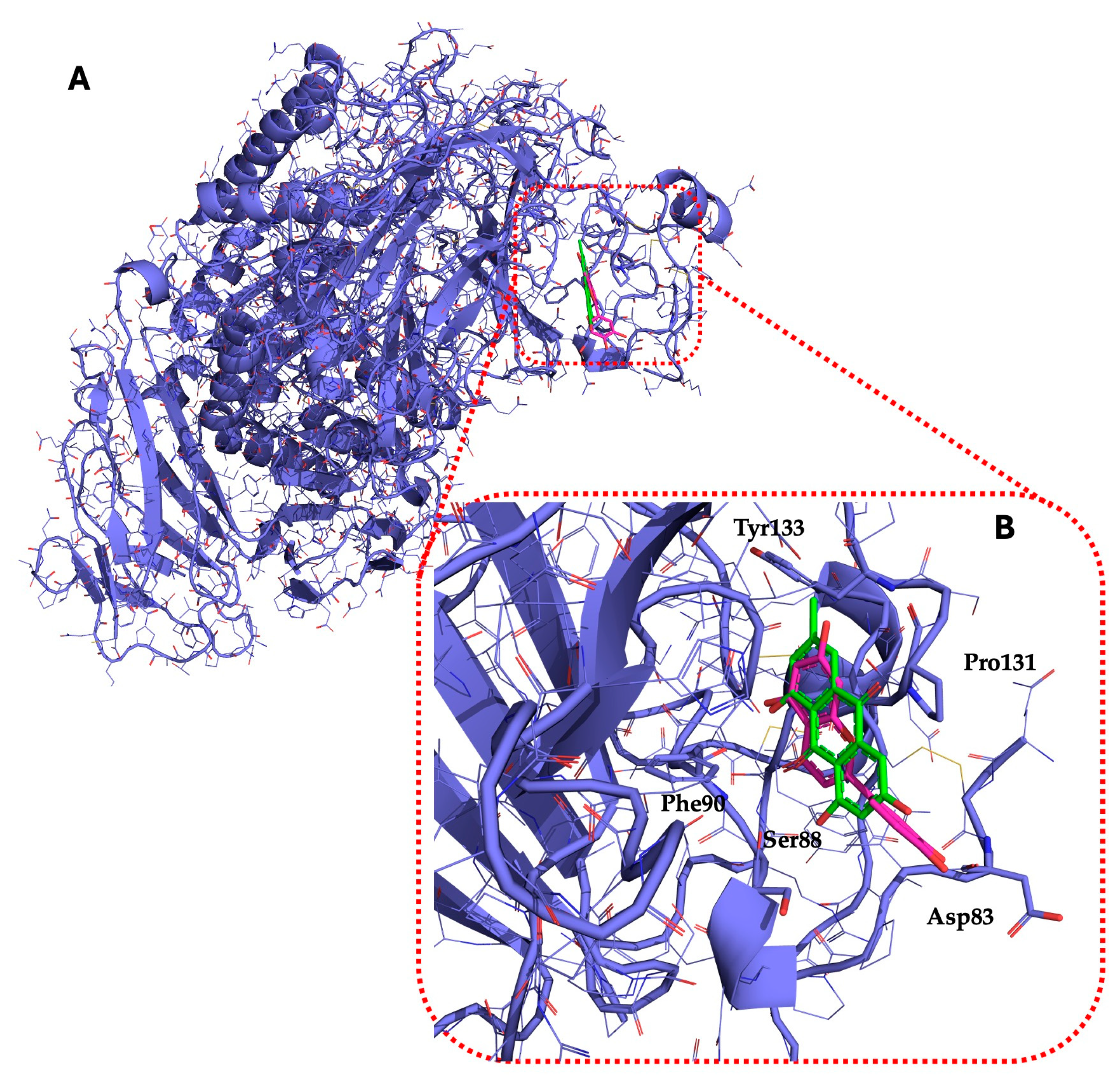 Molecules 29 05063 g004