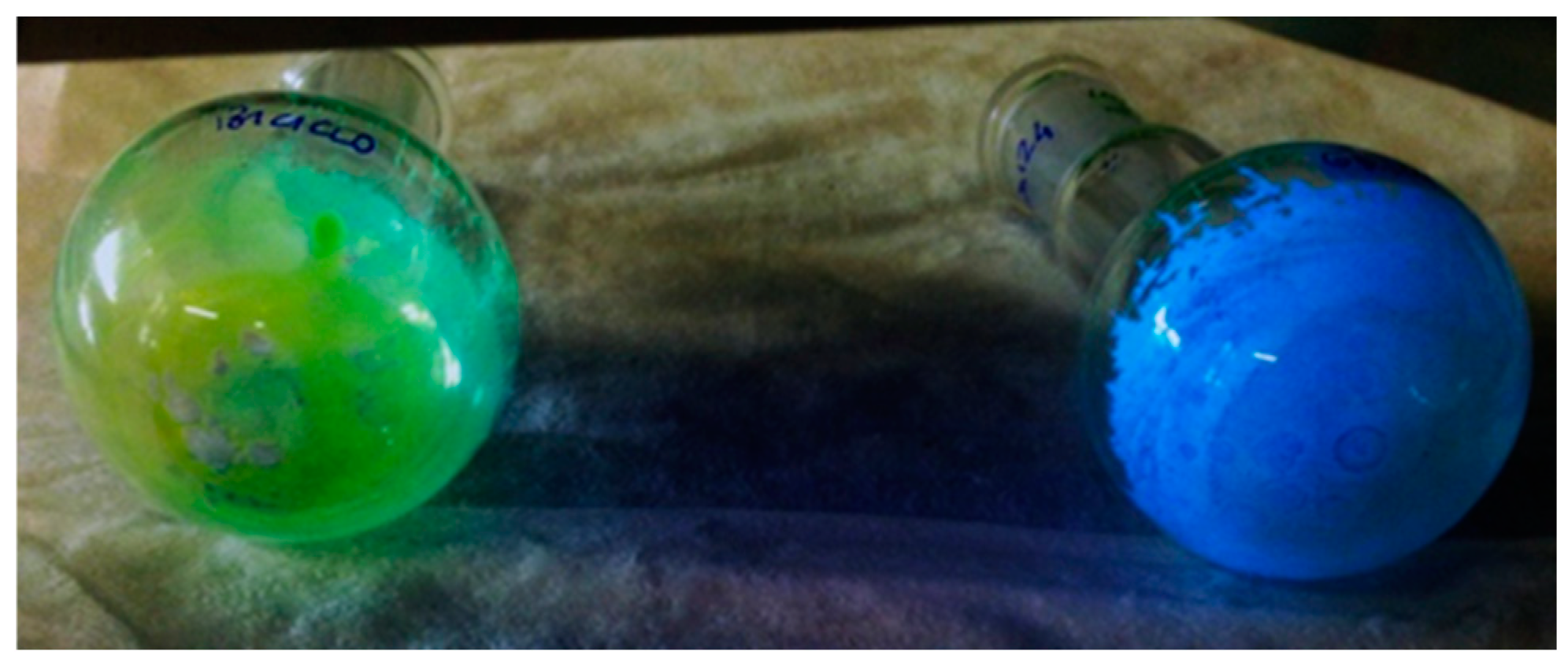 Molecules 29 05067 g004