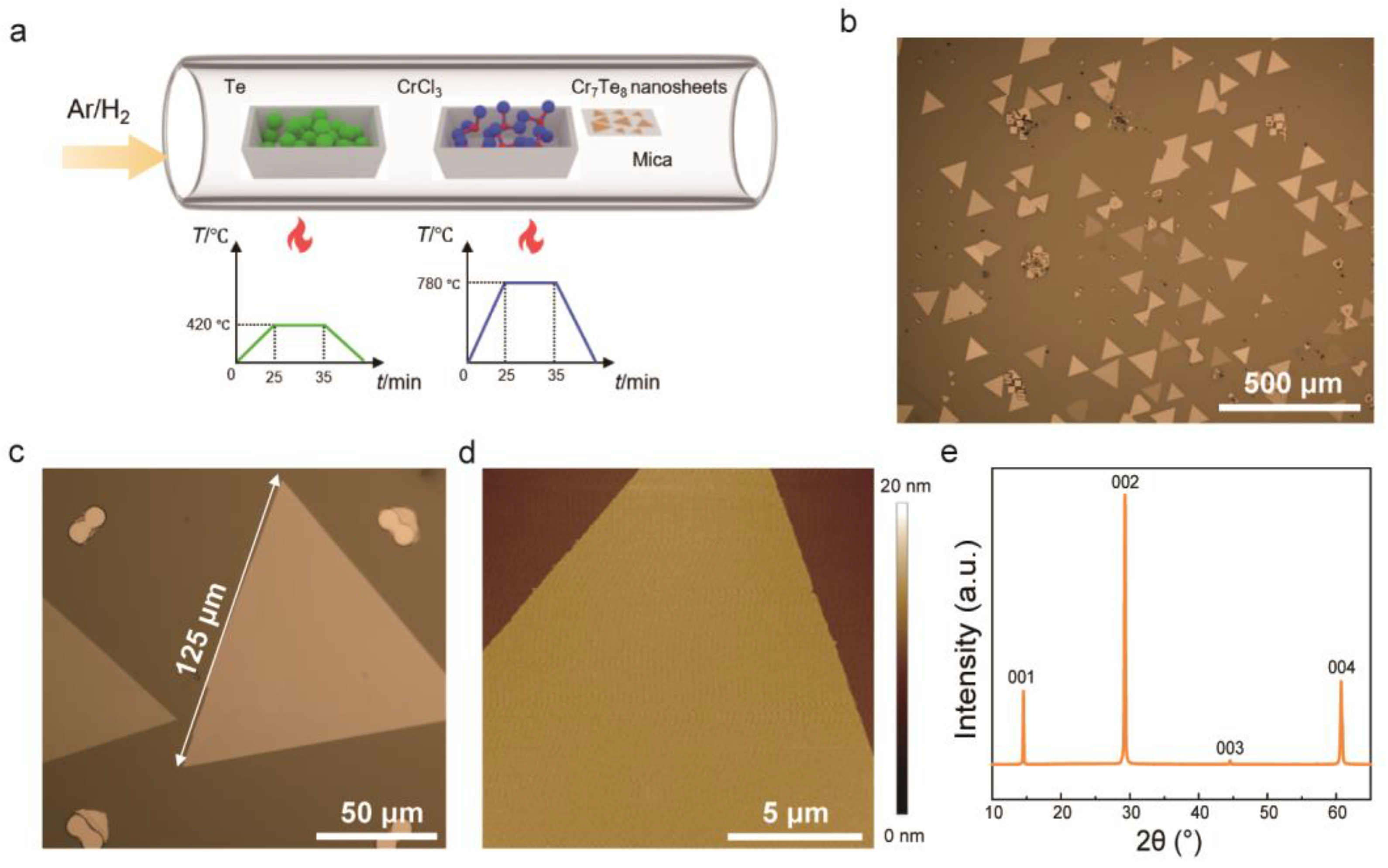 Molecules 29 05068 g001