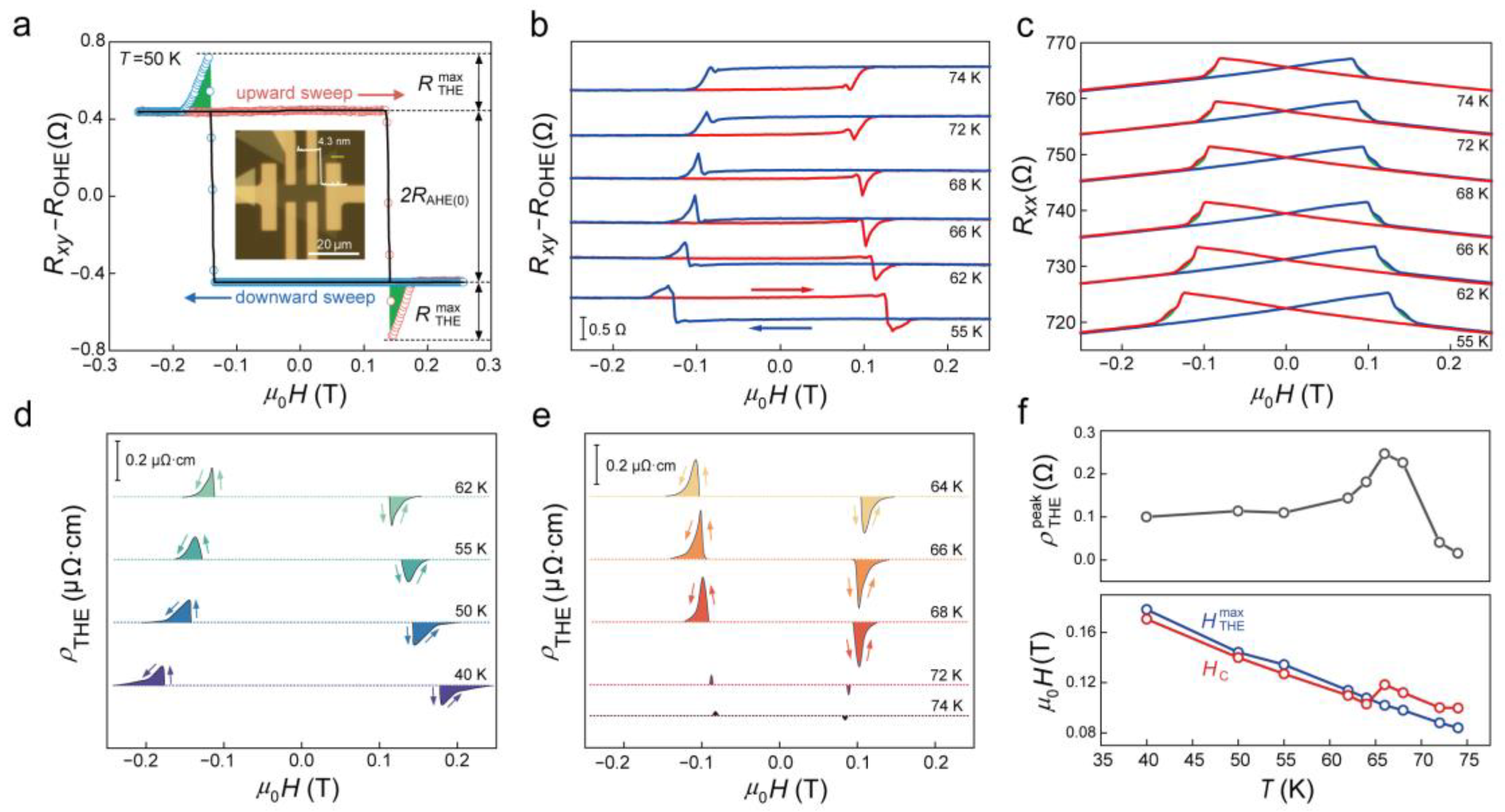 Molecules 29 05068 g005