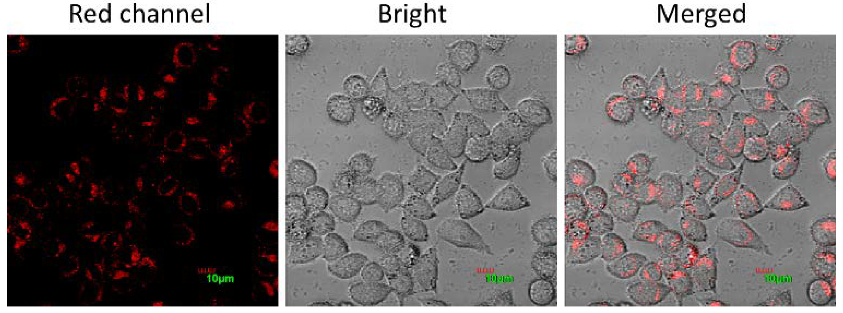 Molecules 29 05069 g004