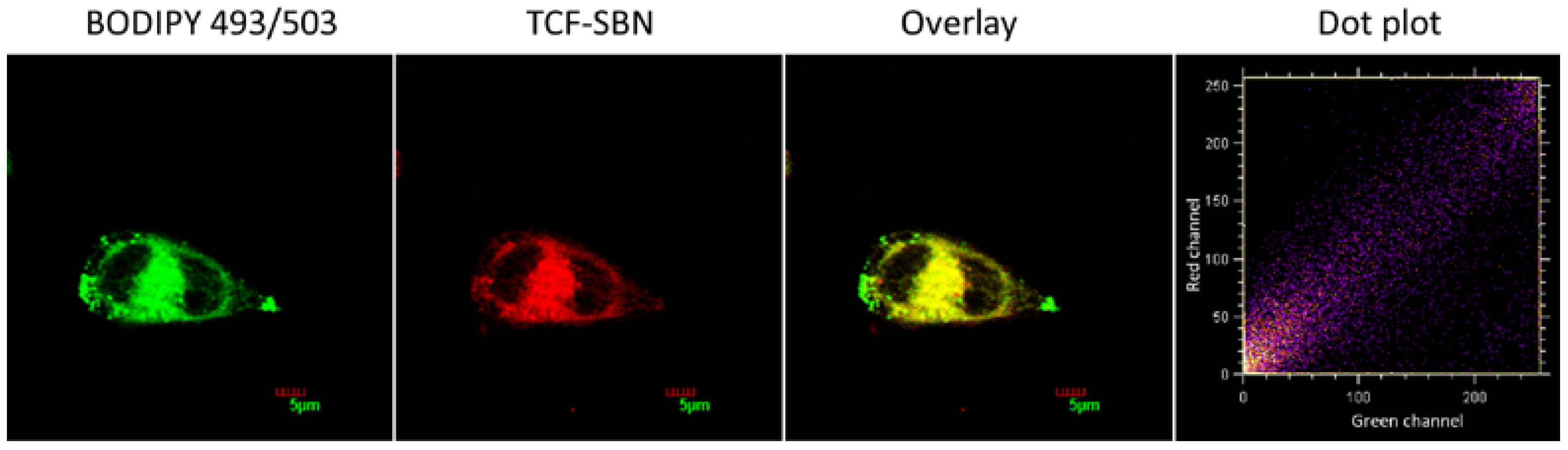 Molecules 29 05069 g005