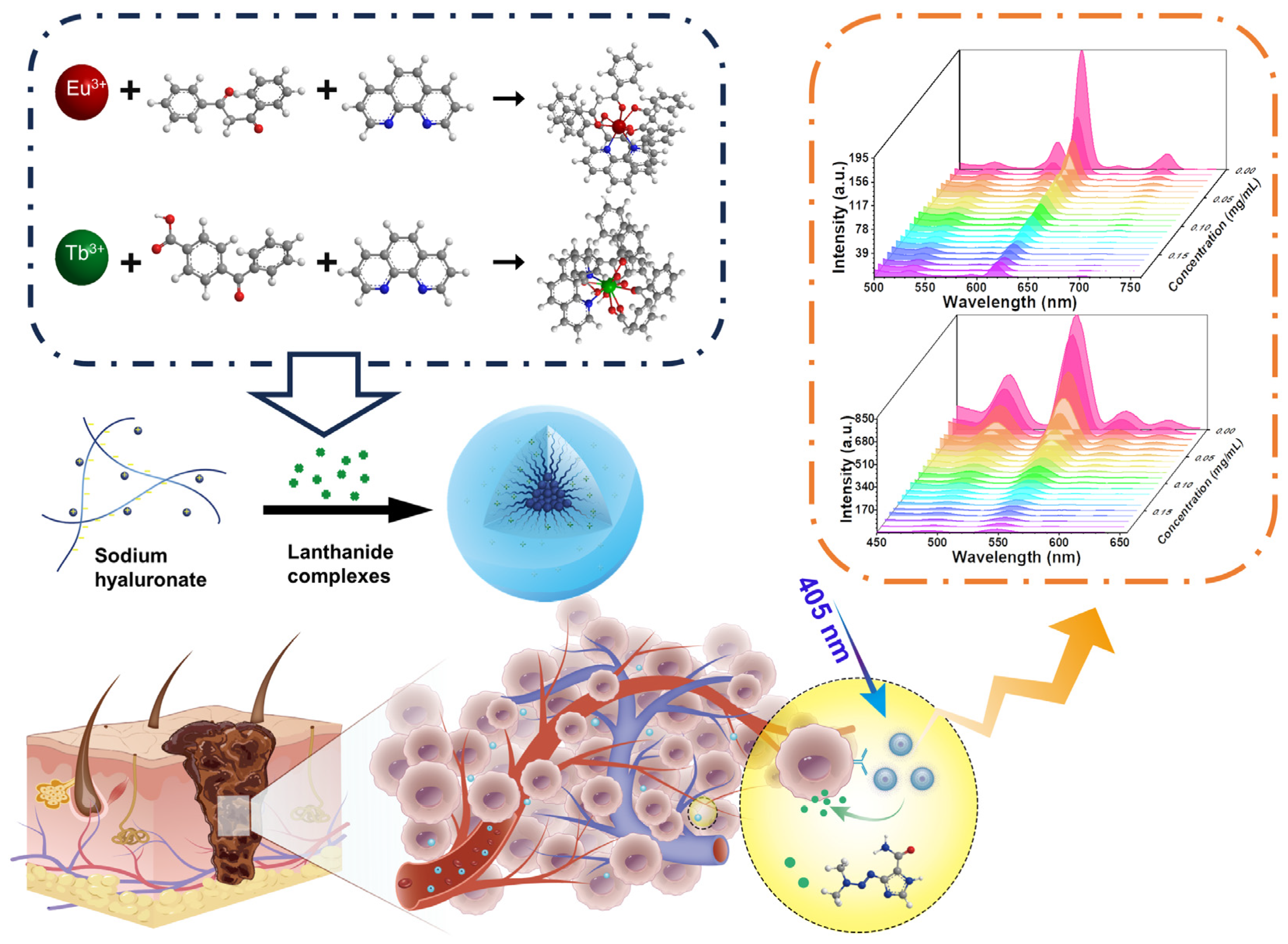 Molecules 29 05070 g001