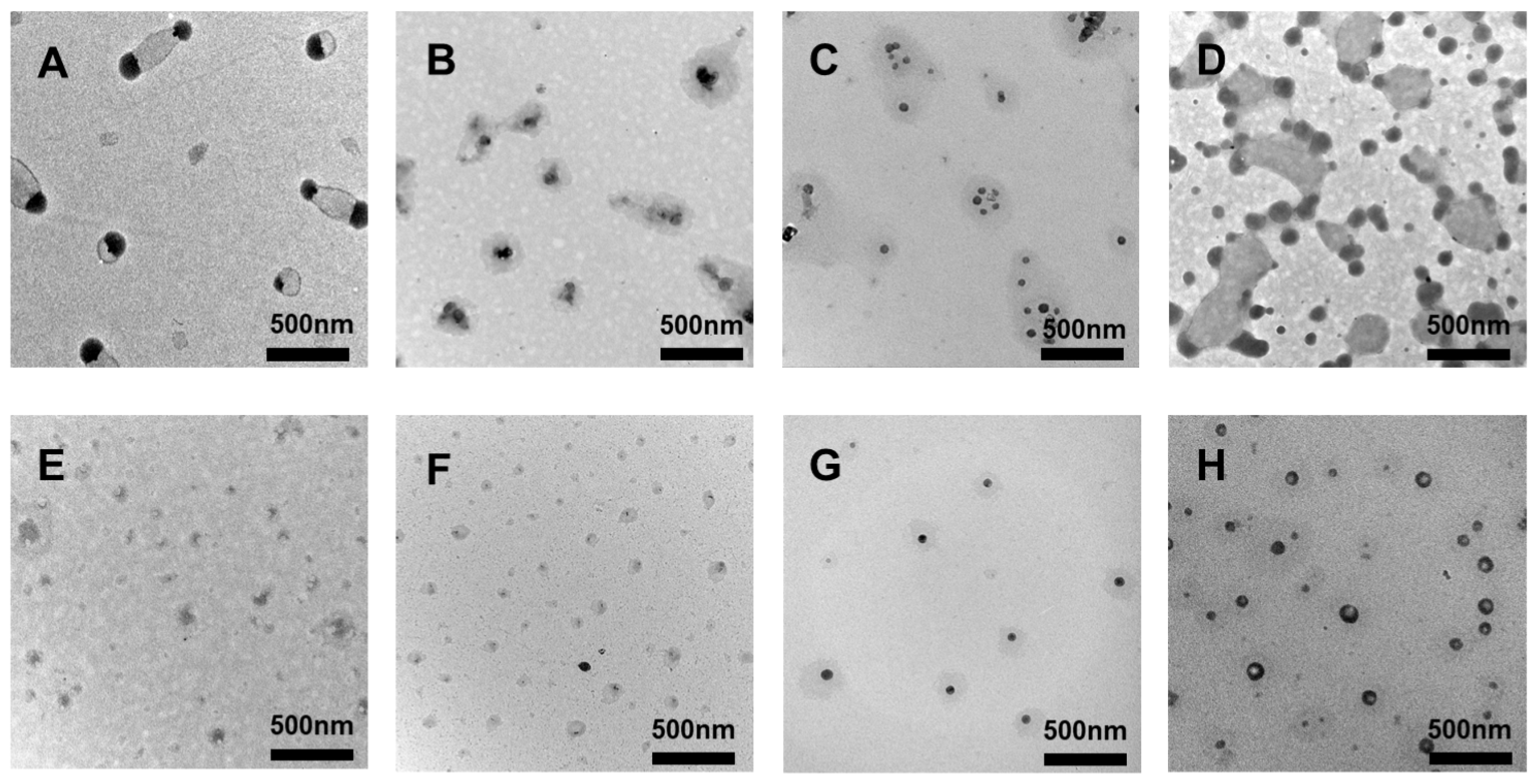 Molecules 29 05070 g002