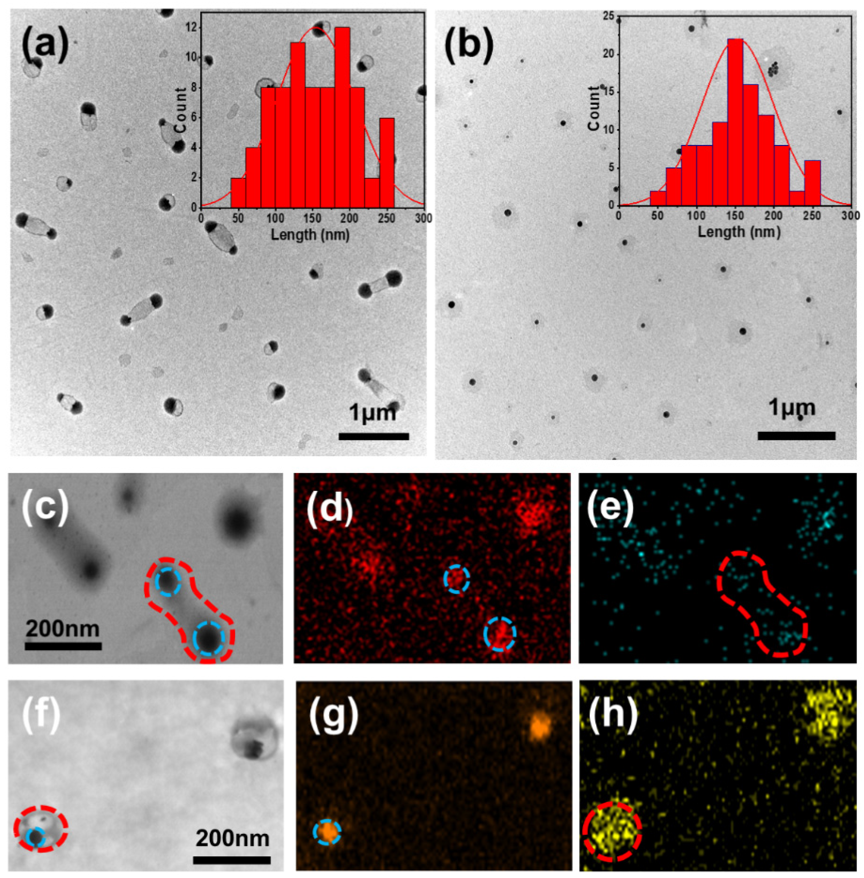 Molecules 29 05070 g003