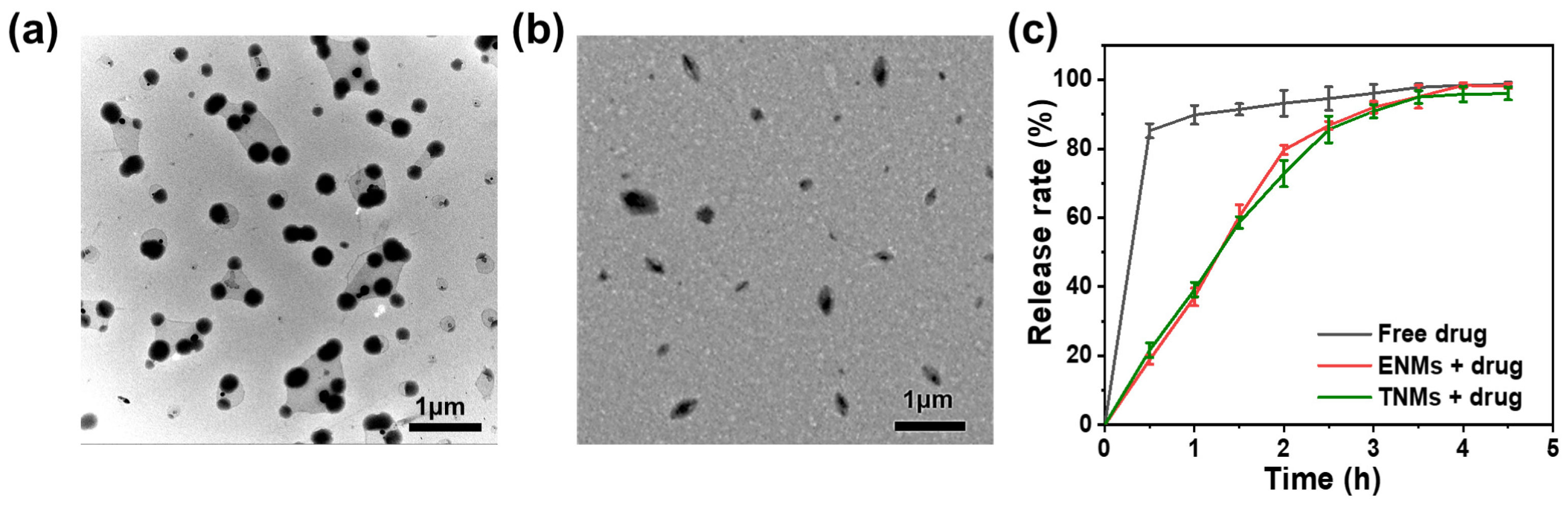 Molecules 29 05070 g005