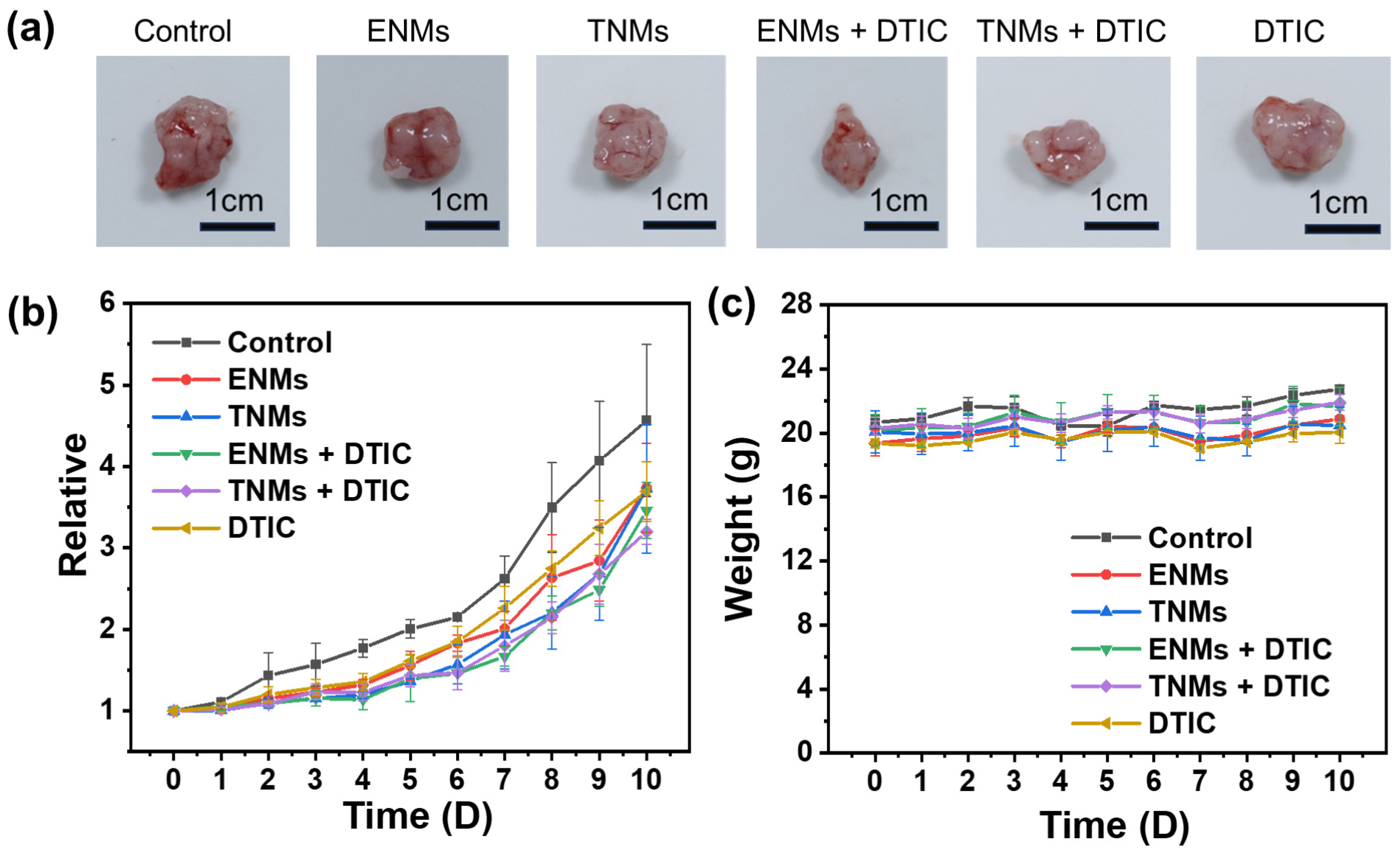 Molecules 29 05070 g010