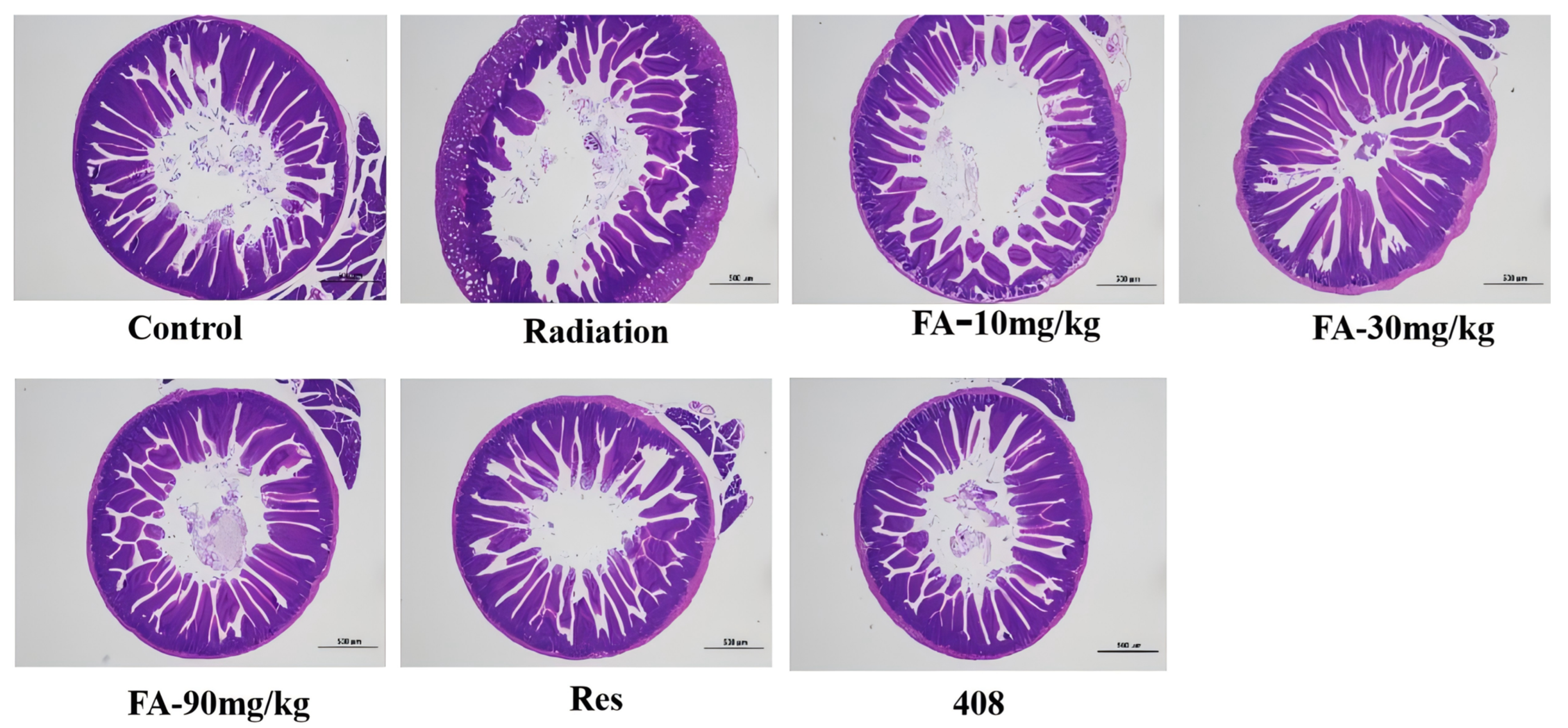 Molecules 29 05072 g003