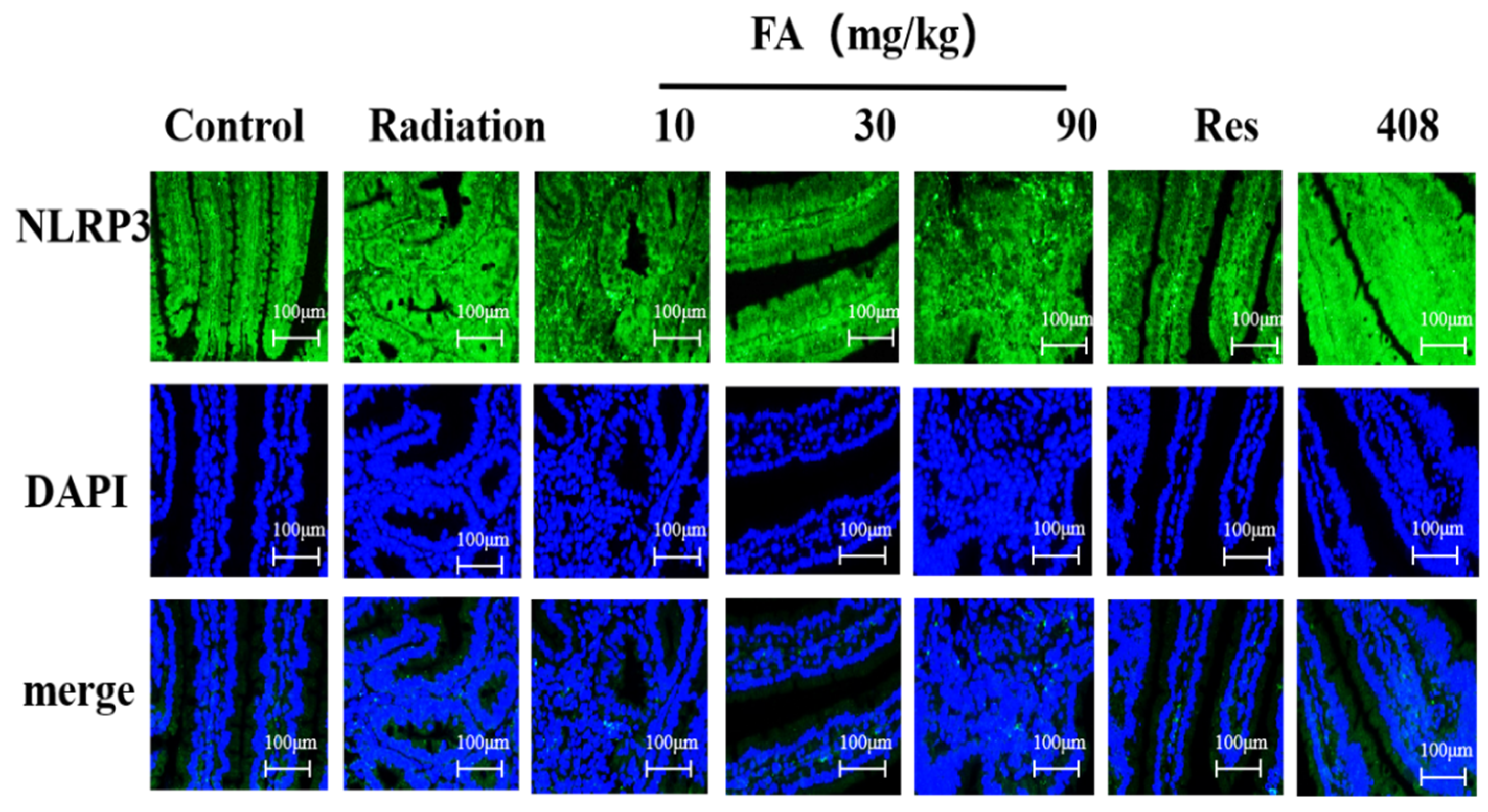 Molecules 29 05072 g005