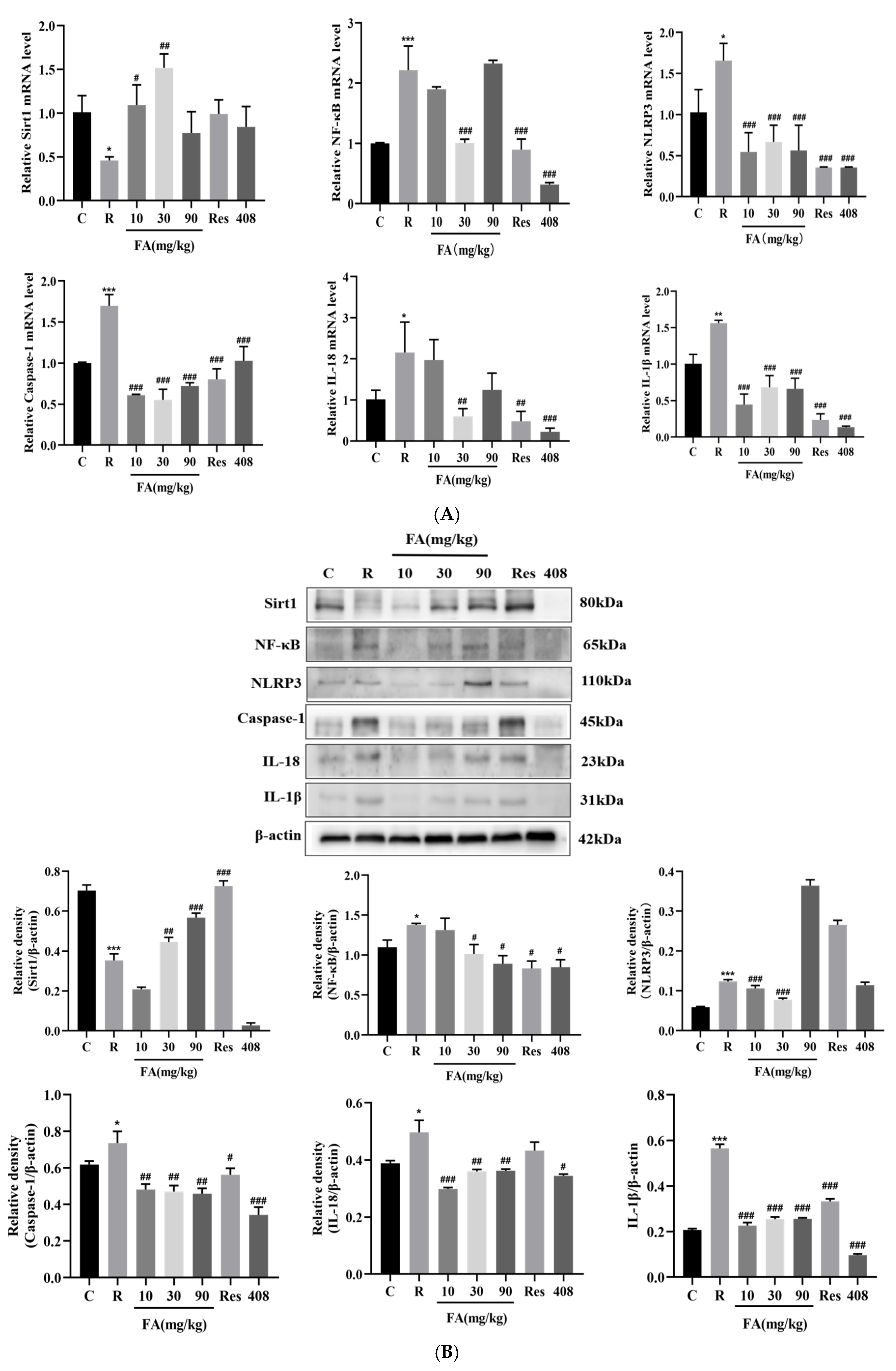 Molecules 29 05072 g007
