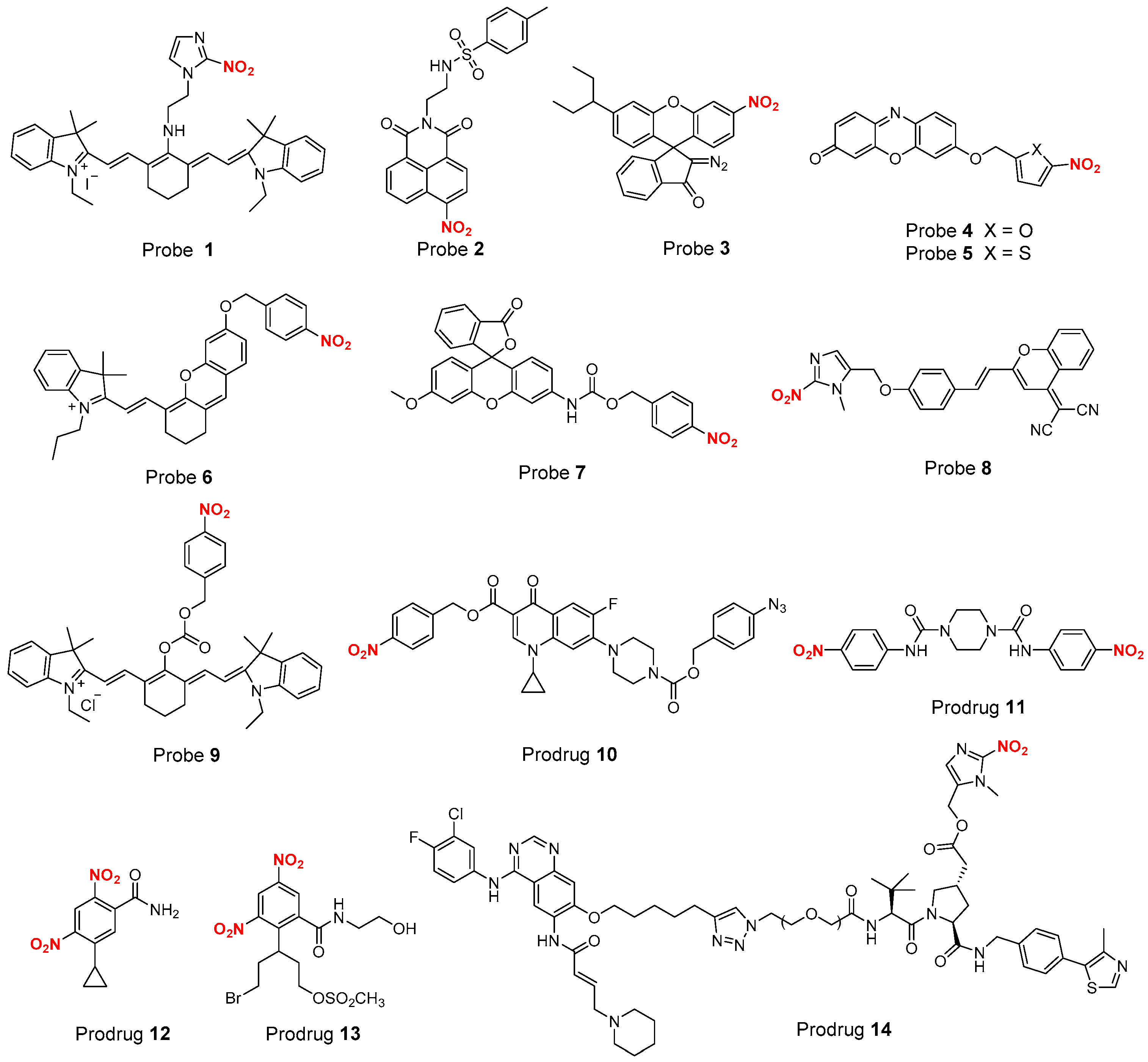 Molecules 29 05077 g001