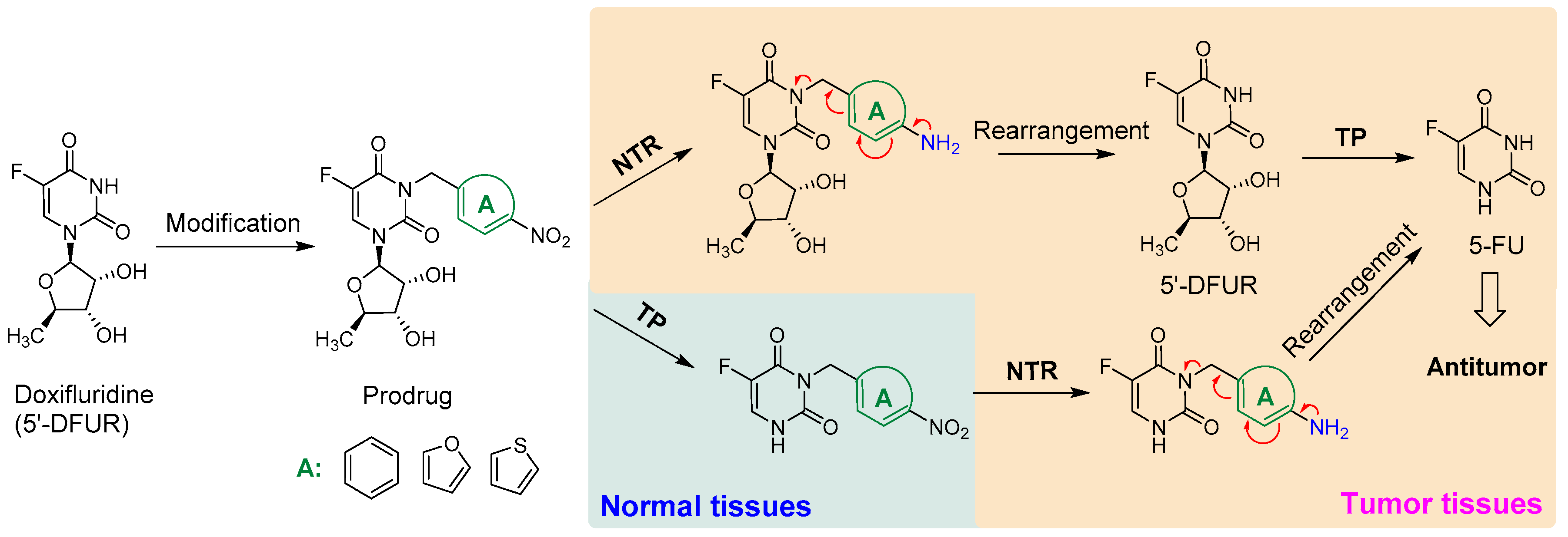 Molecules 29 05077 g002