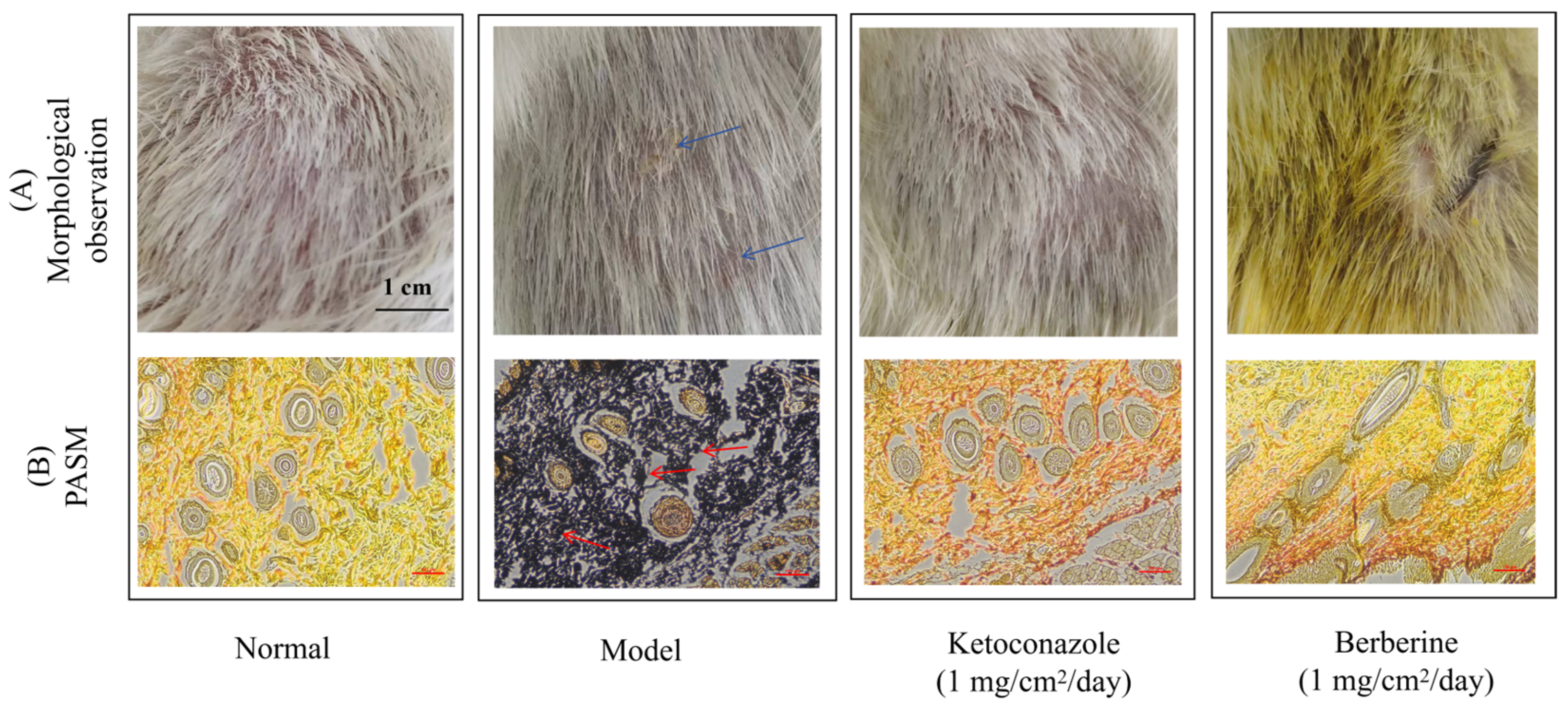Molecules 29 05079 g007