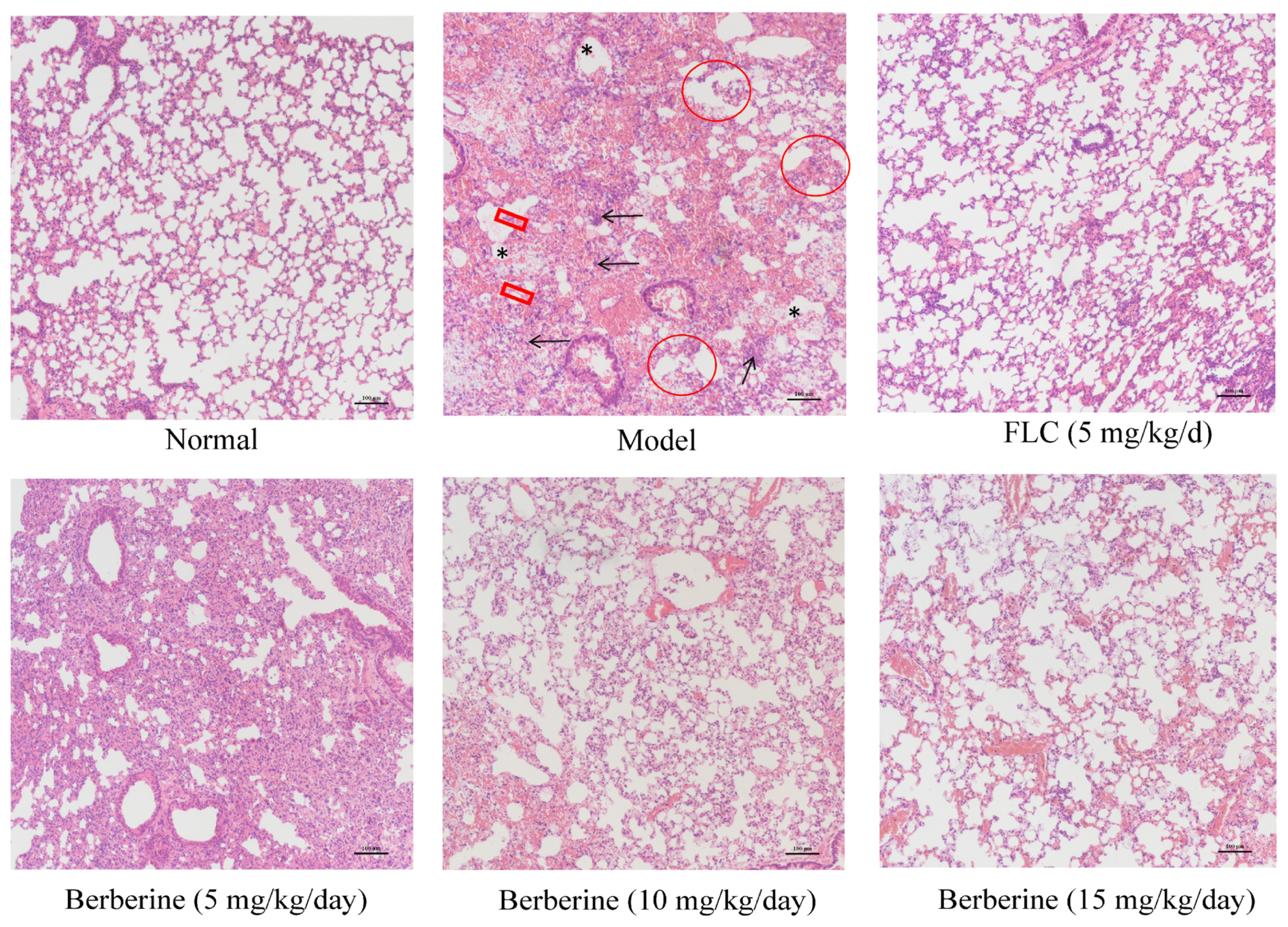 Molecules 29 05079 g009