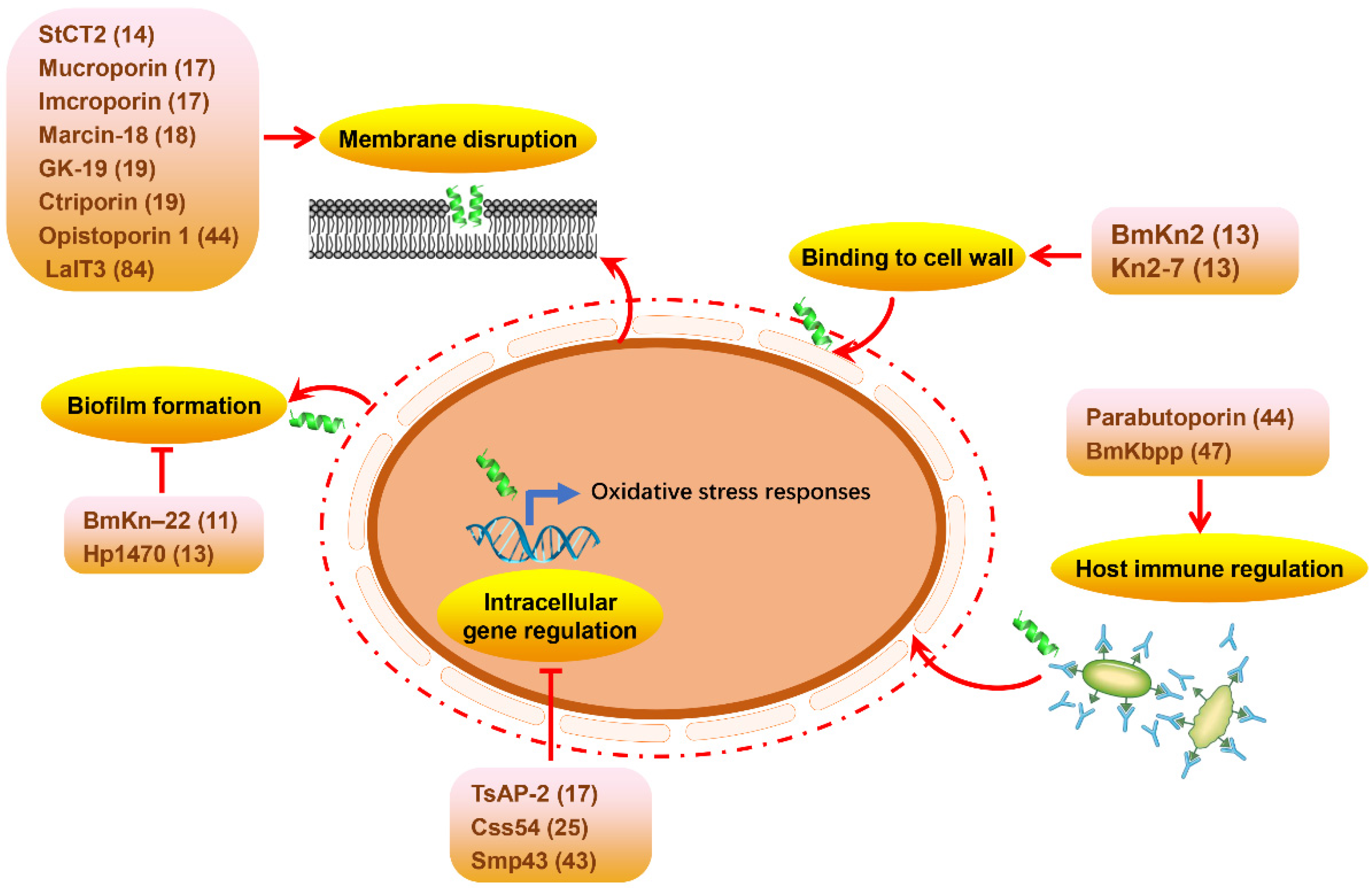 Molecules 29 05080 g002