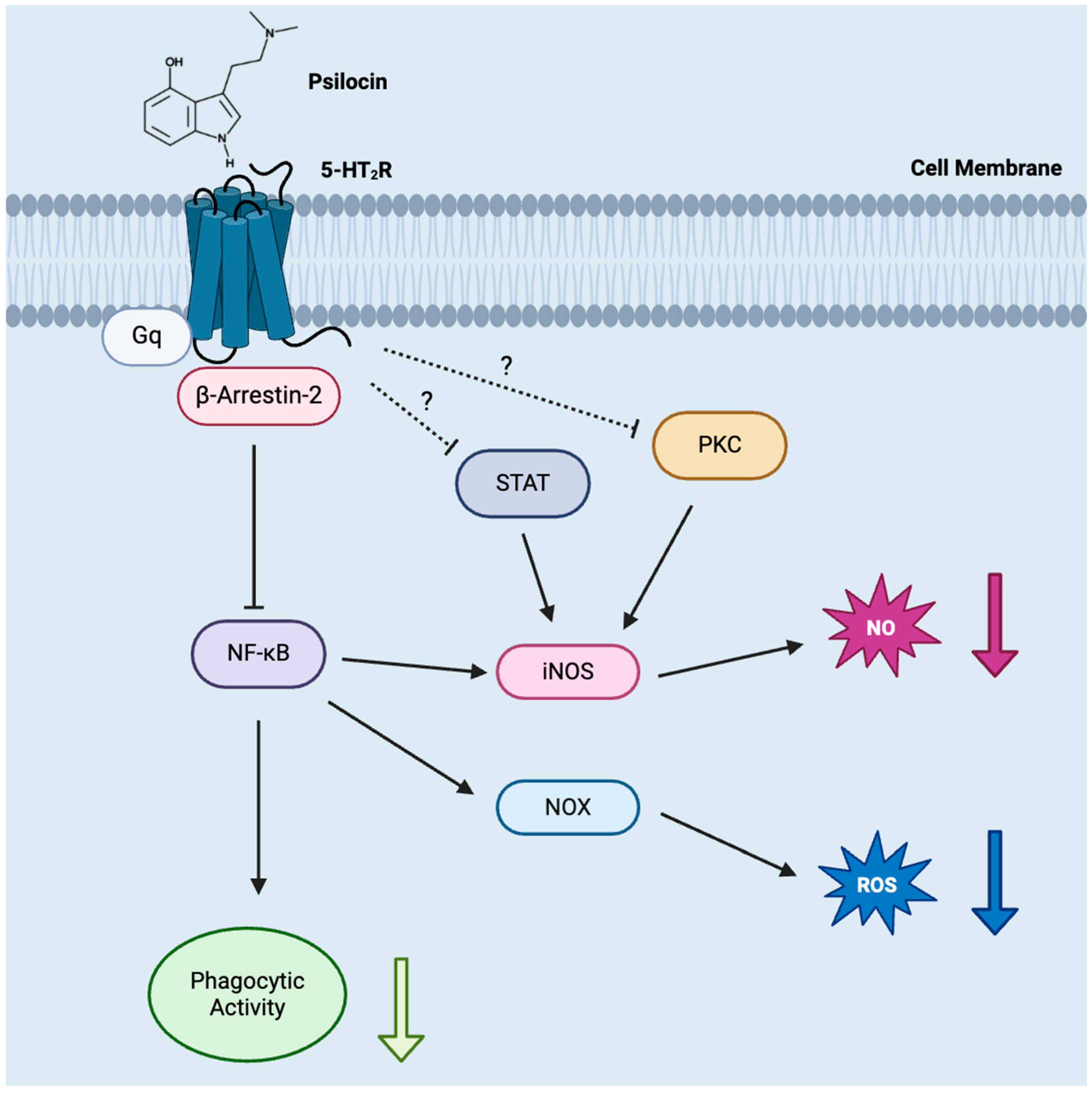Molecules 29 05084 g006