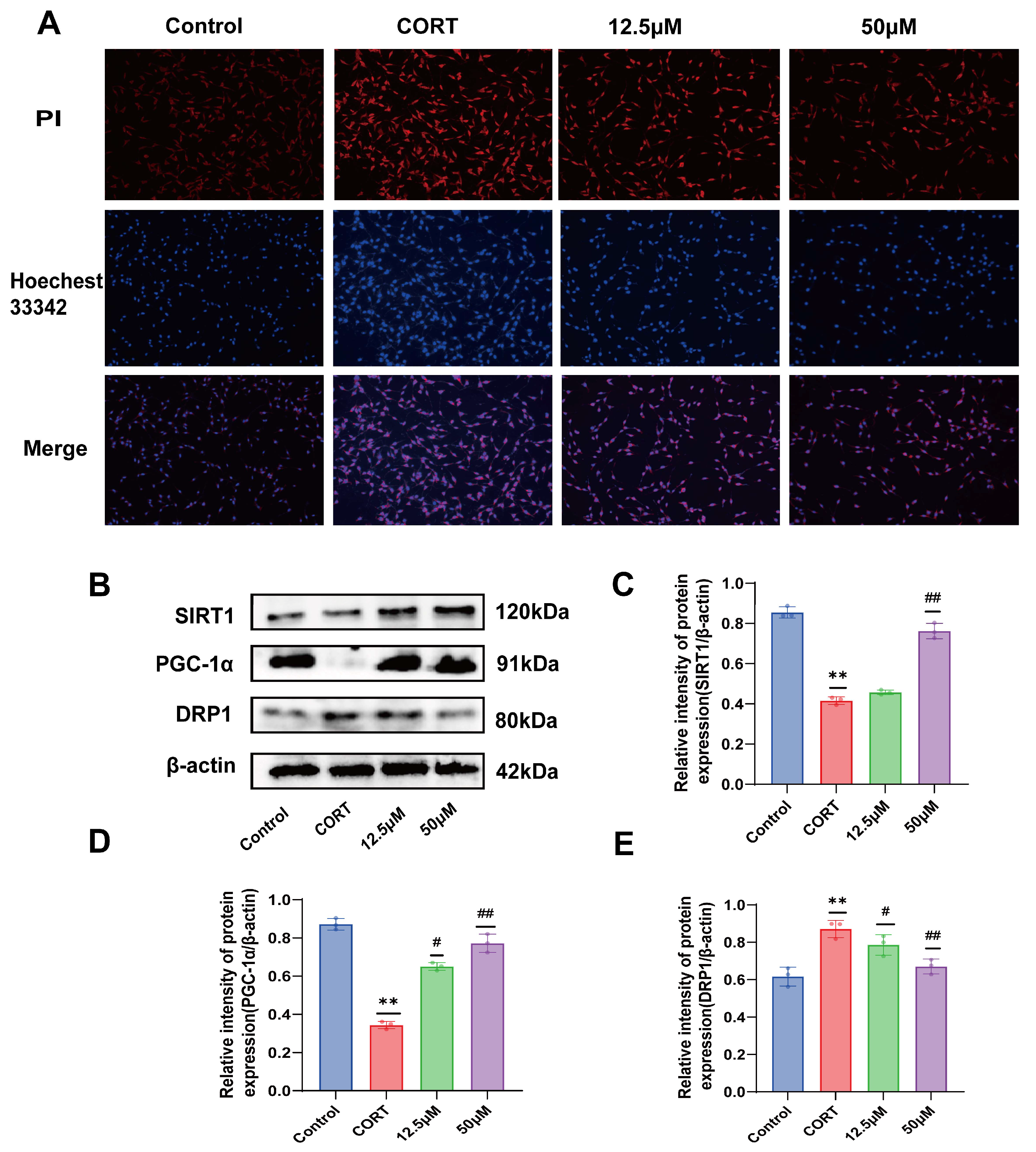 Molecules 29 05085 g003