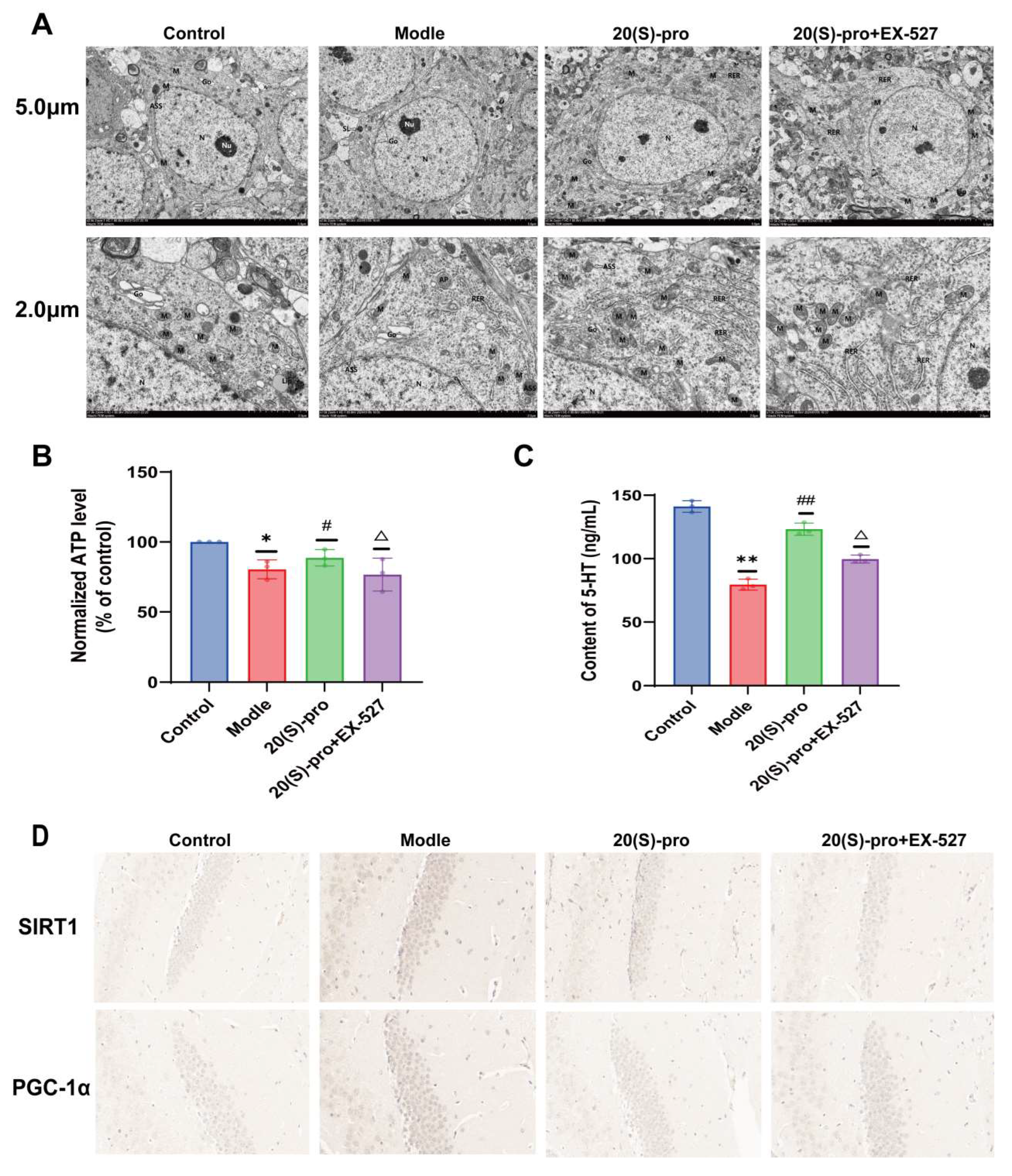 Molecules 29 05085 g009