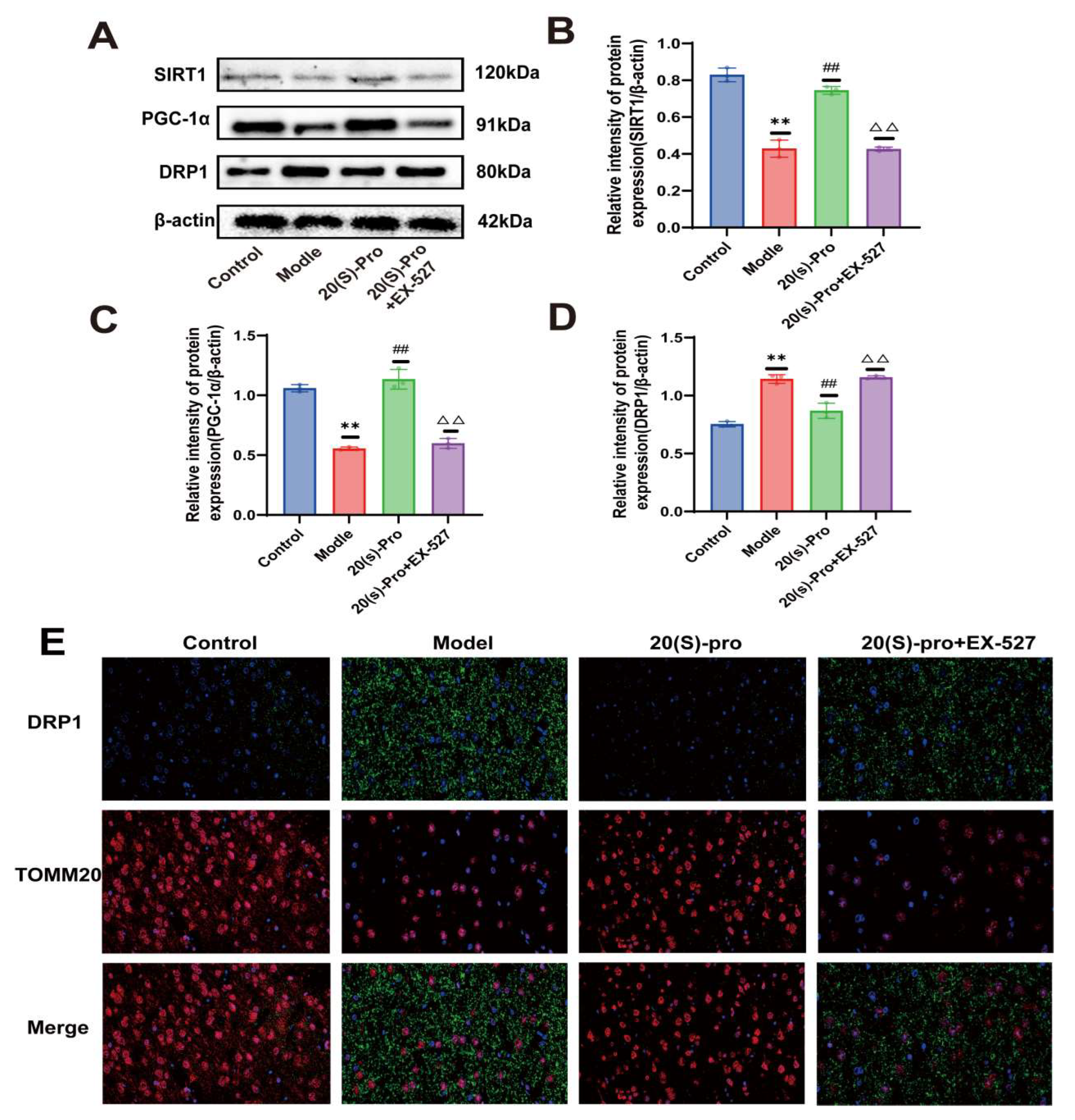 Molecules 29 05085 g010