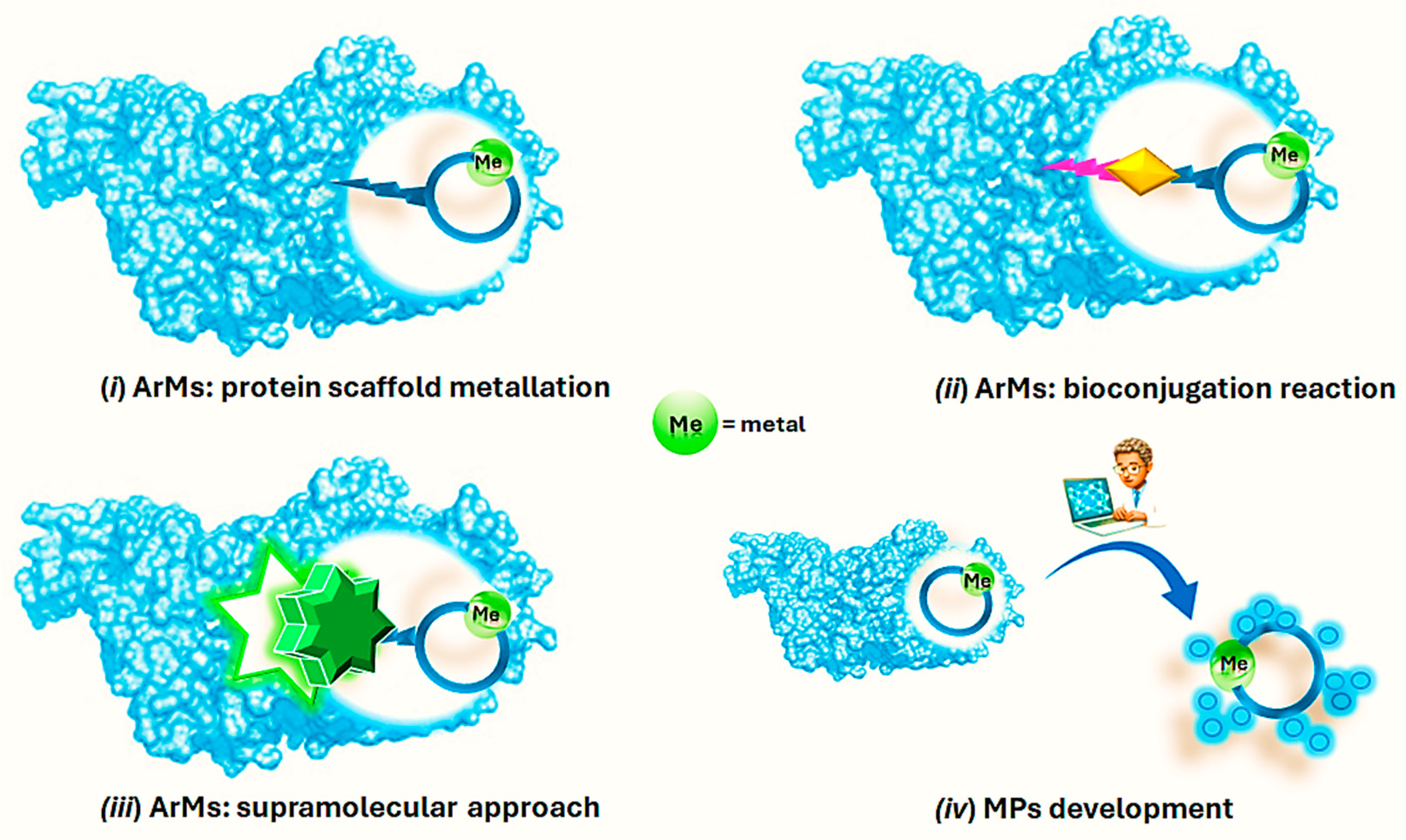 Molecules 29 05090 g001