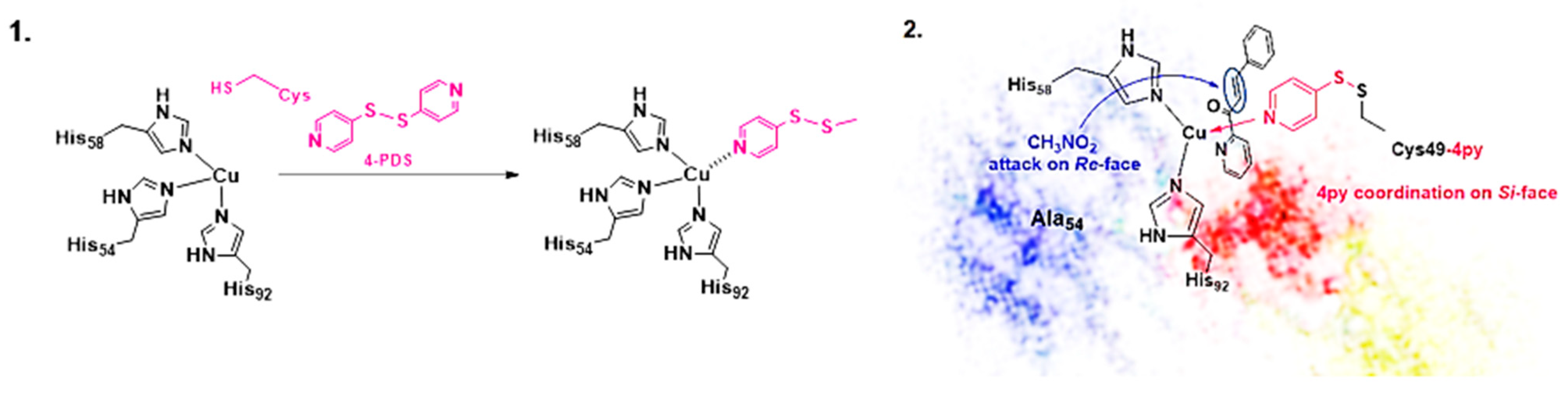 Molecules 29 05090 g002