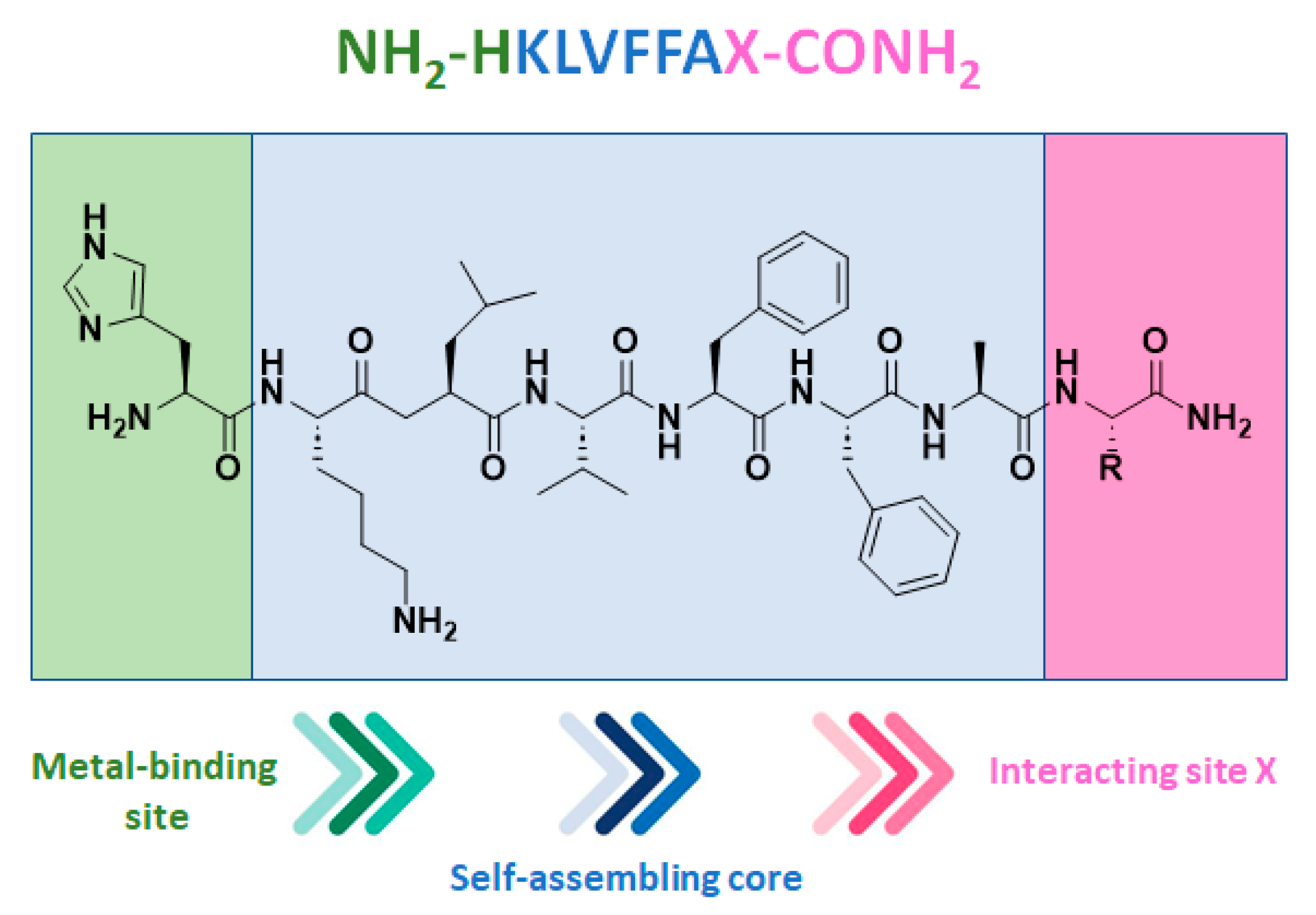 Molecules 29 05090 g003