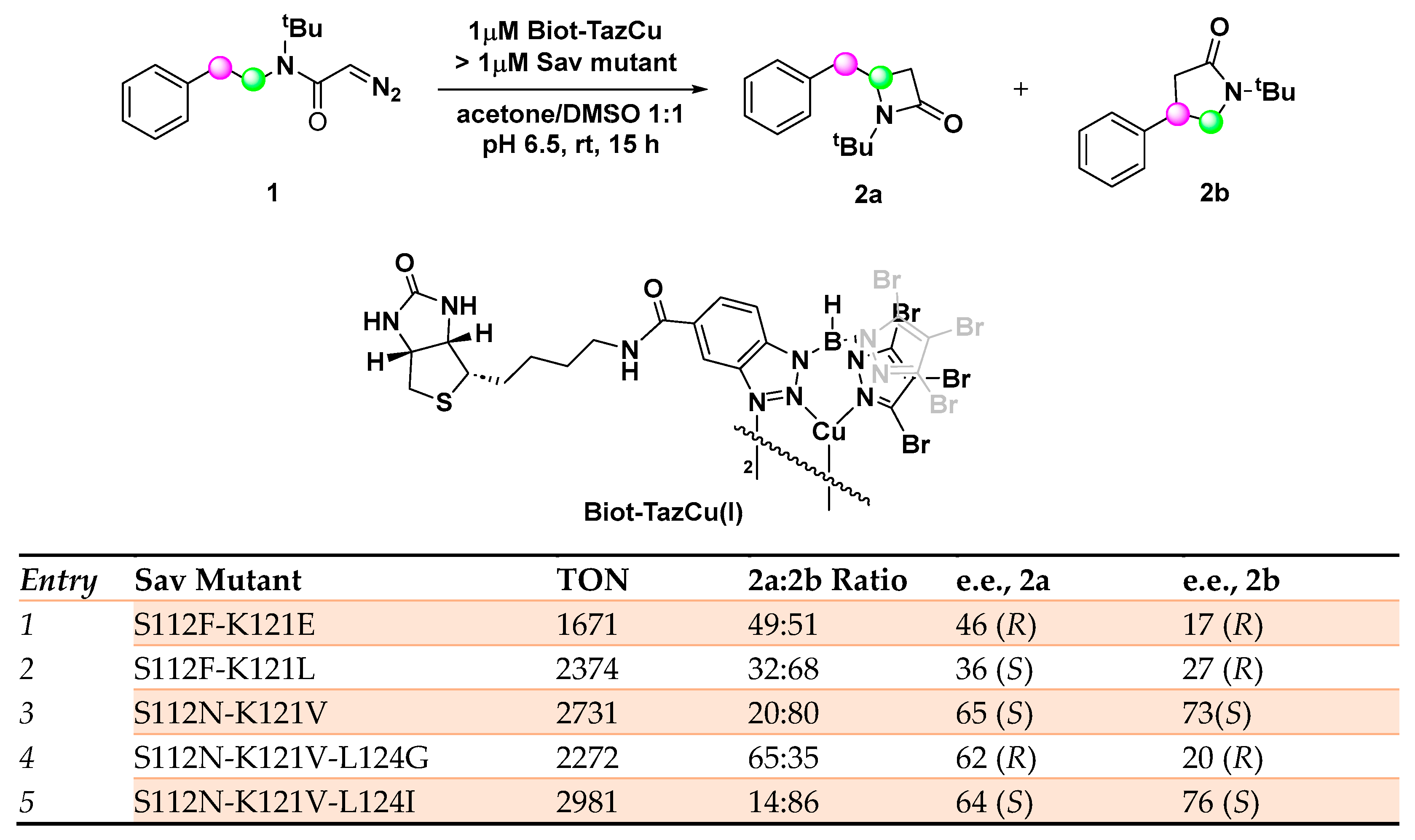 Molecules 29 05090 sch001