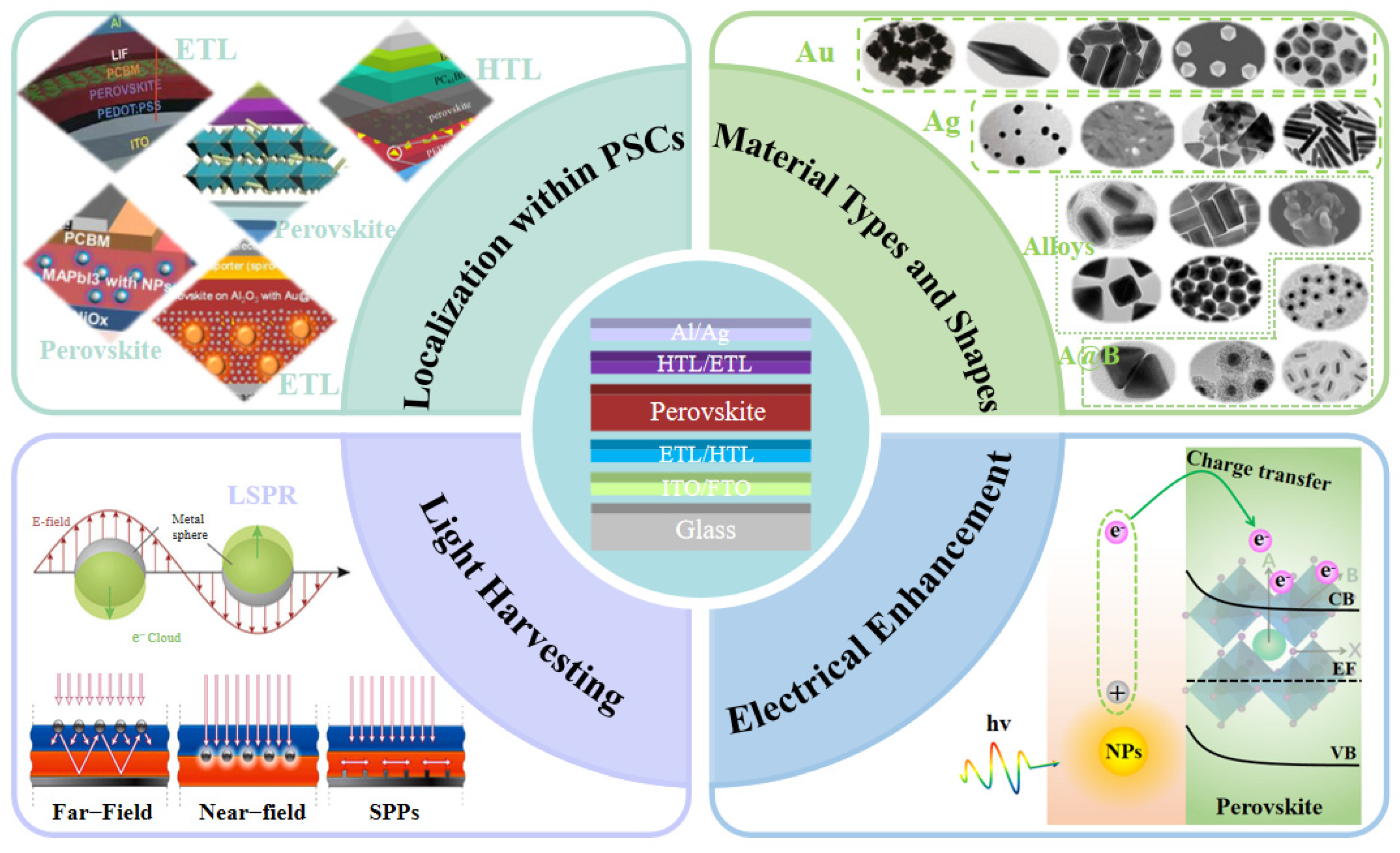 Molecules 29 05091 g001