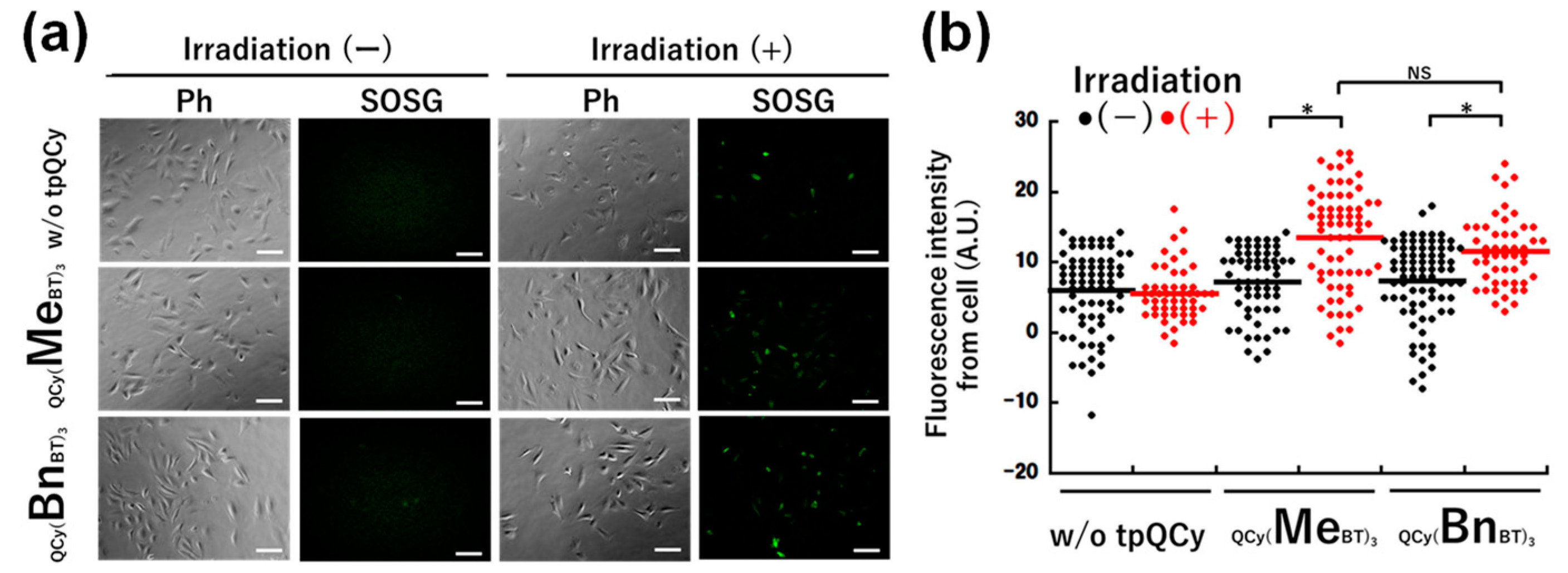 Molecules 29 05094 g003