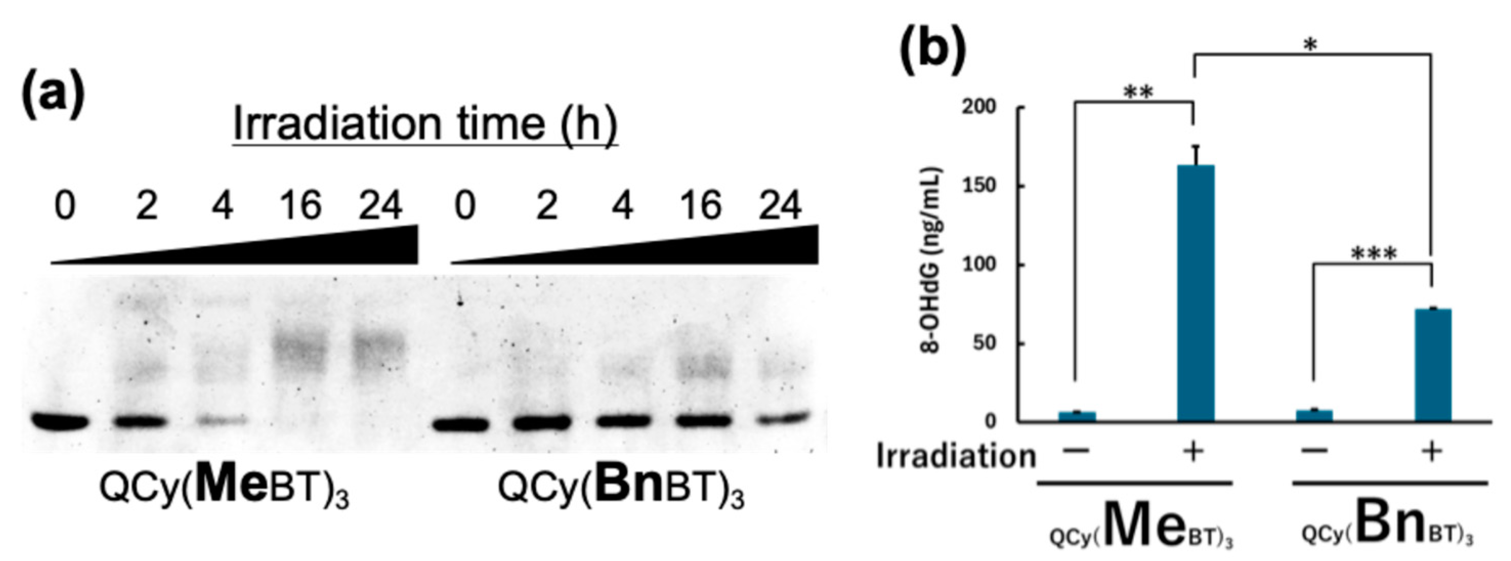 Molecules 29 05094 g004